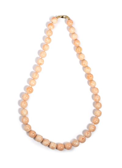 Collana a un filo di corallo rosa (Corallium Sp. Nov.), con chiusura in oro giallo 18k
