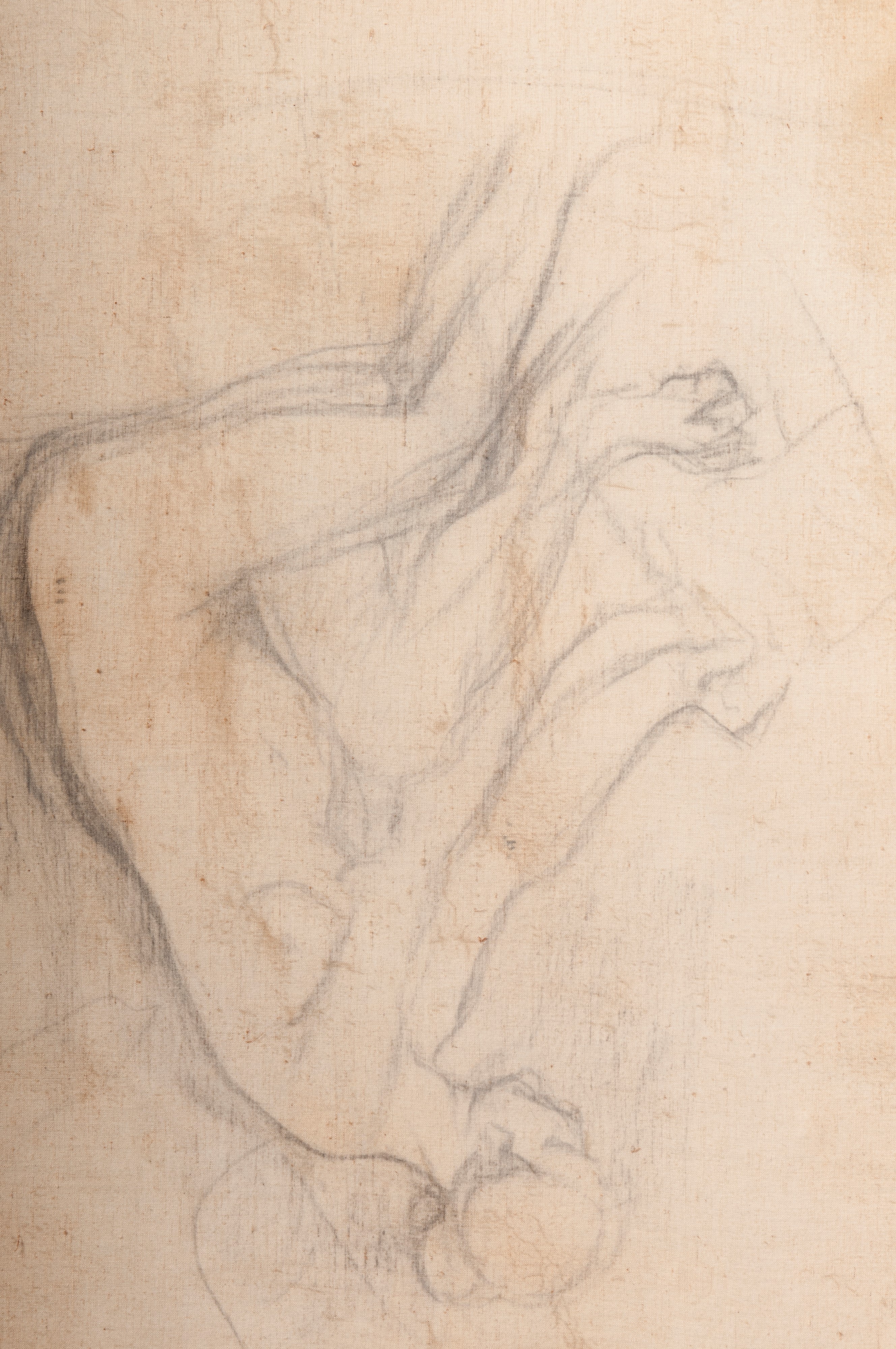 Nudo di donna