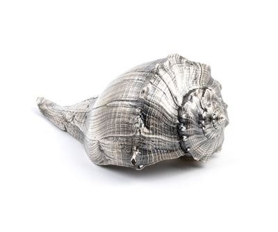 Conchiglia naturale ricoperta in argento