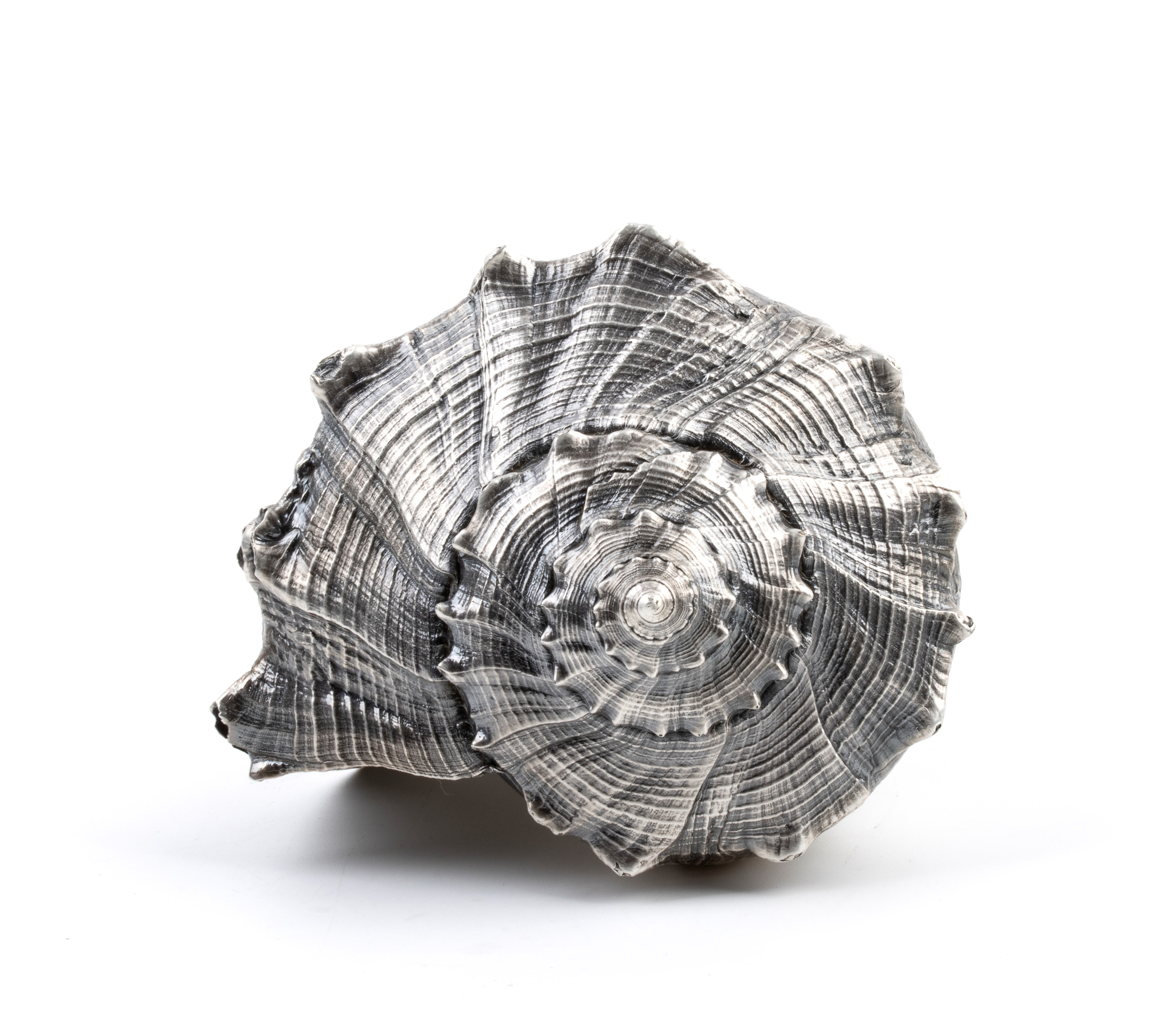 Mario Buccellati - Conchiglia naturale ricoperta in argento