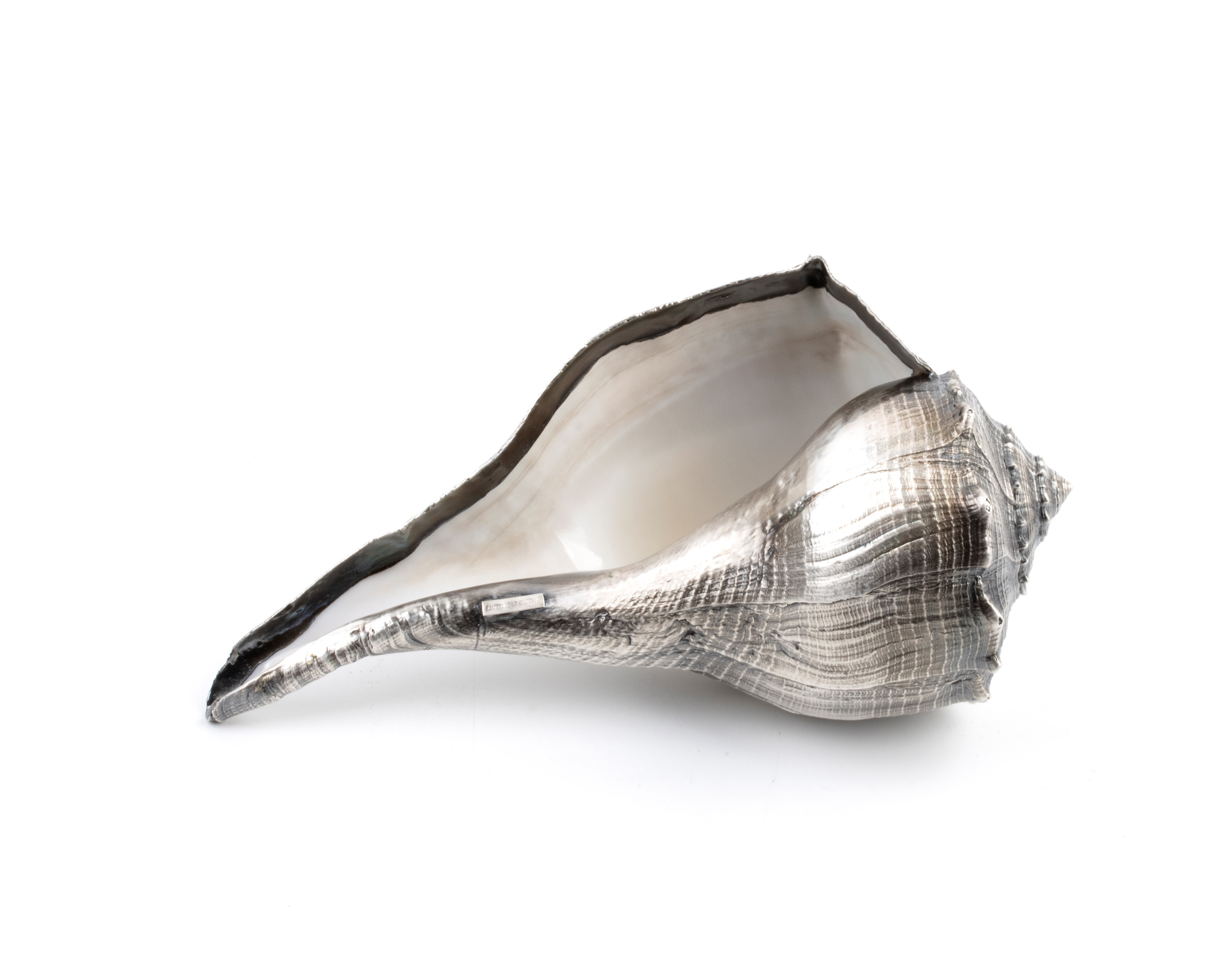 Mario Buccellati - Conchiglia naturale ricoperta in argento