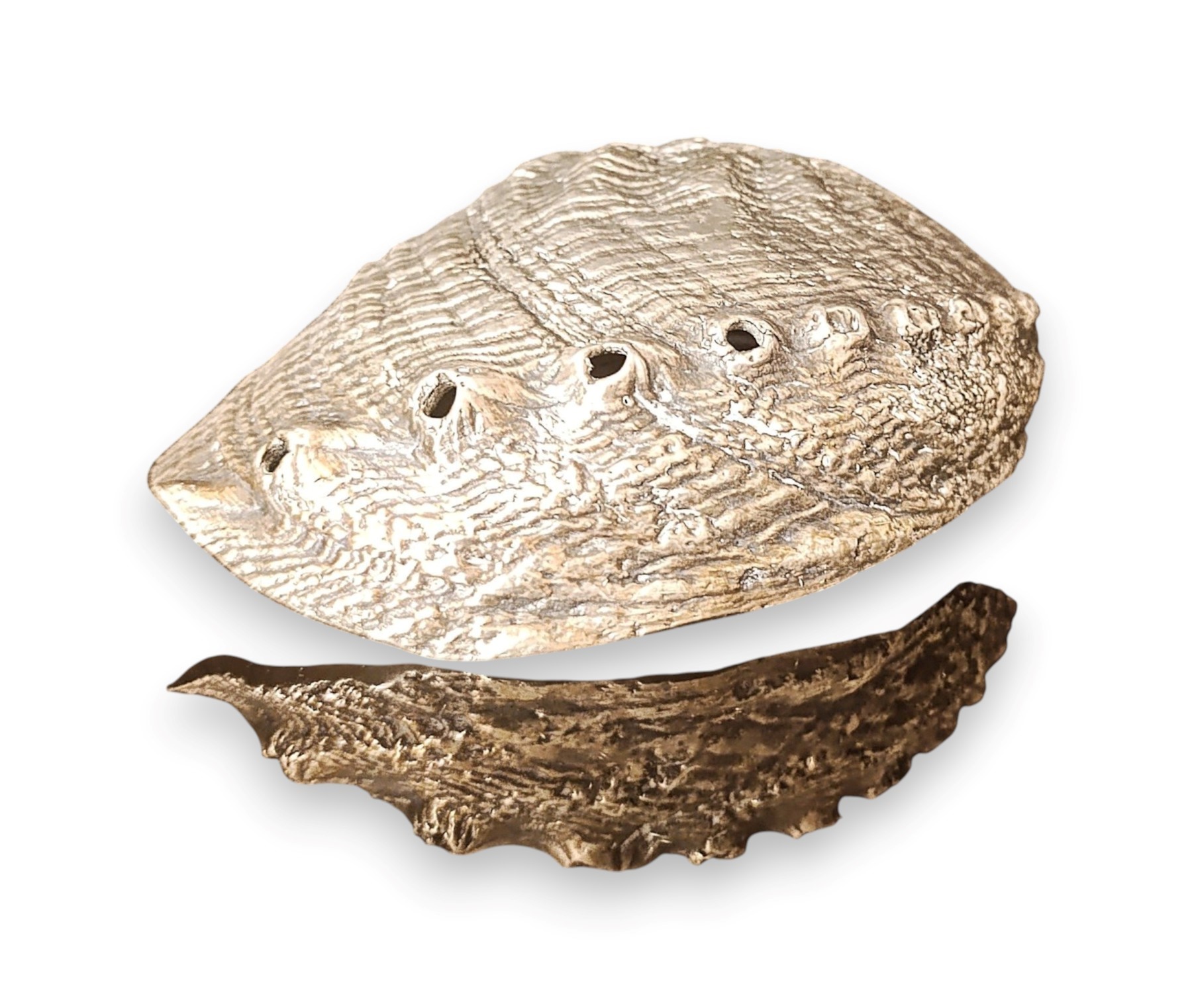 Mario Buccellati - Conchiglia naturale Haliotis ricoperta in argento