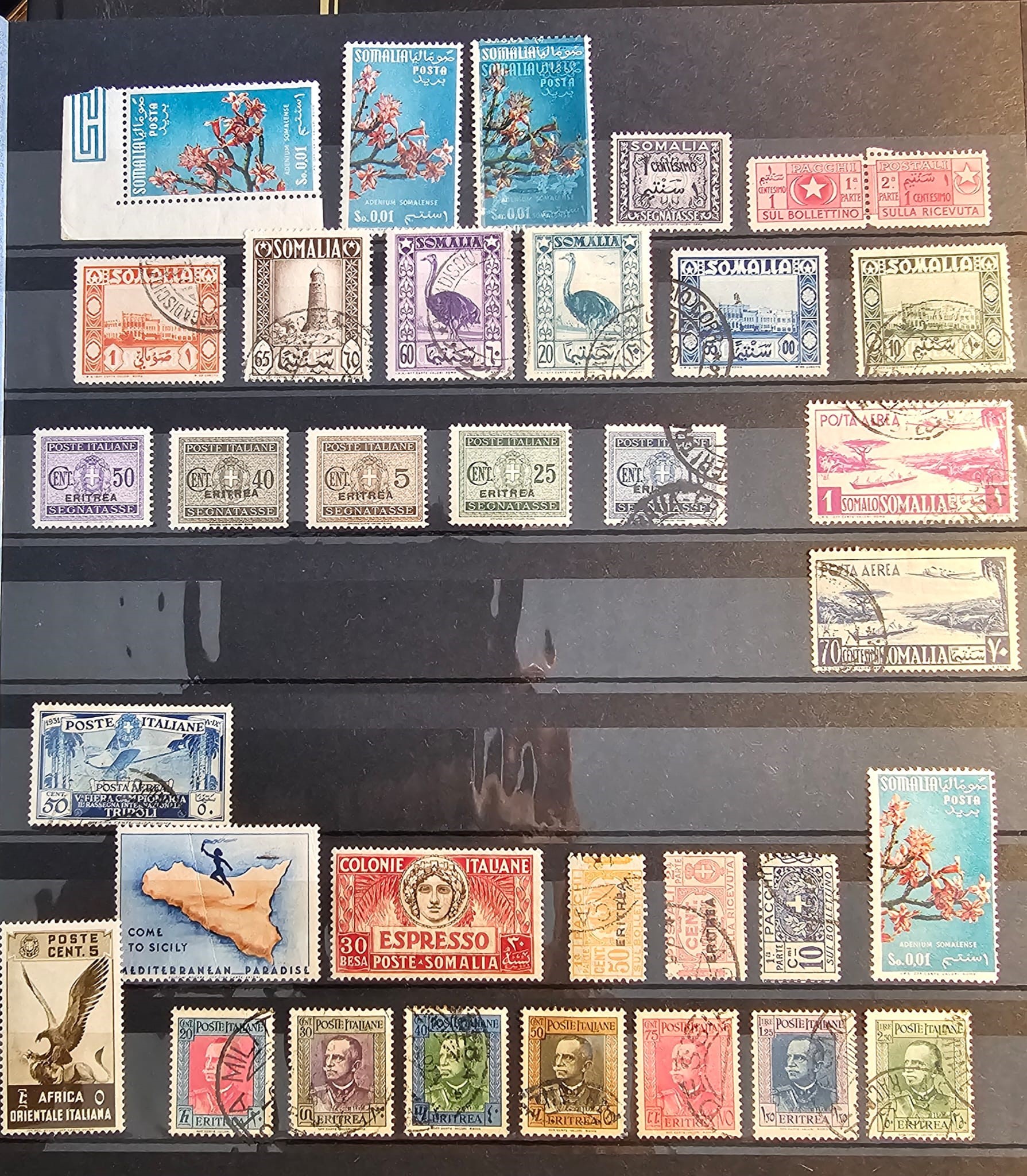 Filatelia - Regno D'italia - Repubblica Italiana. Lotto di Numerosi Francobolli in 30 Pagine. in ...