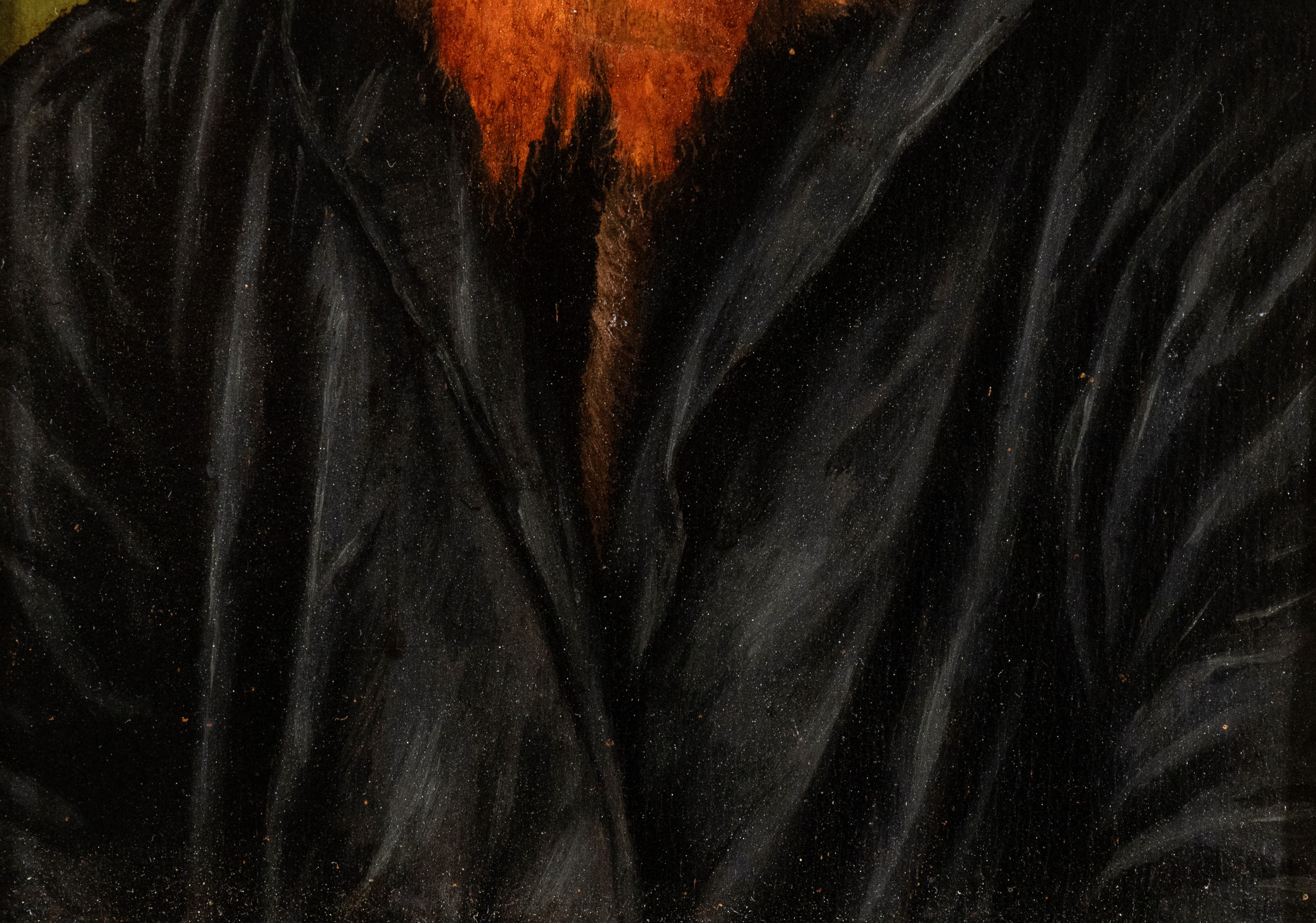 Ritratto di Girolamo della Torre