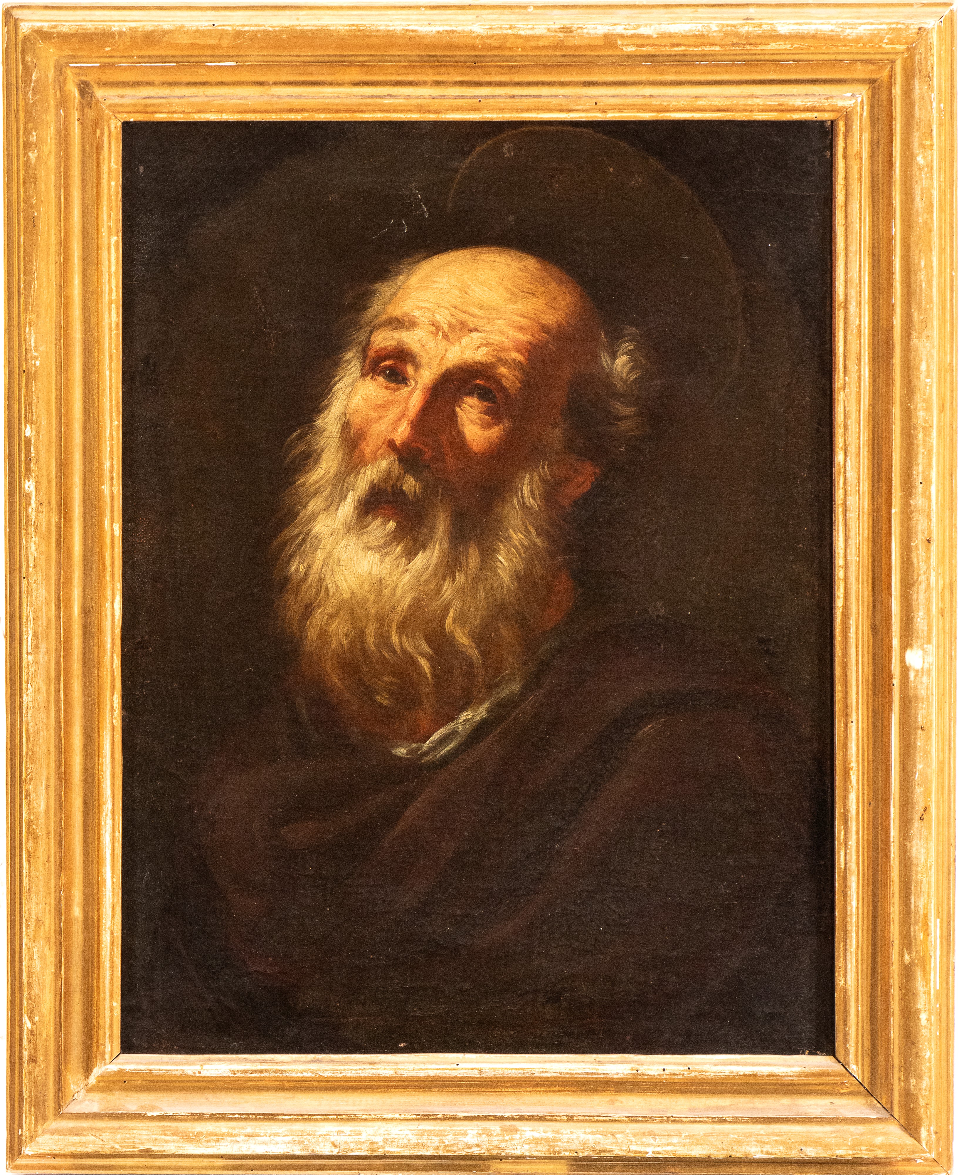 Testa di santo barbuto