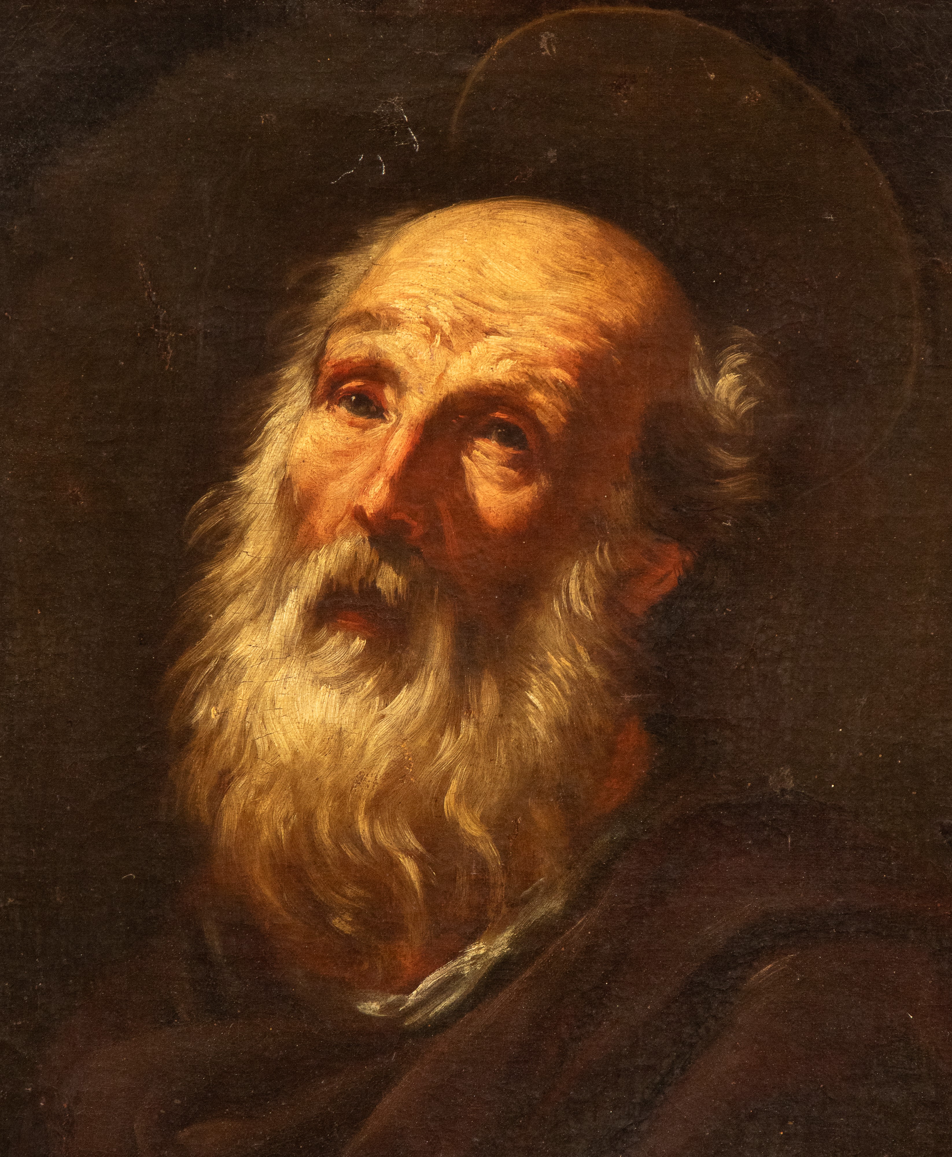 Testa di santo barbuto