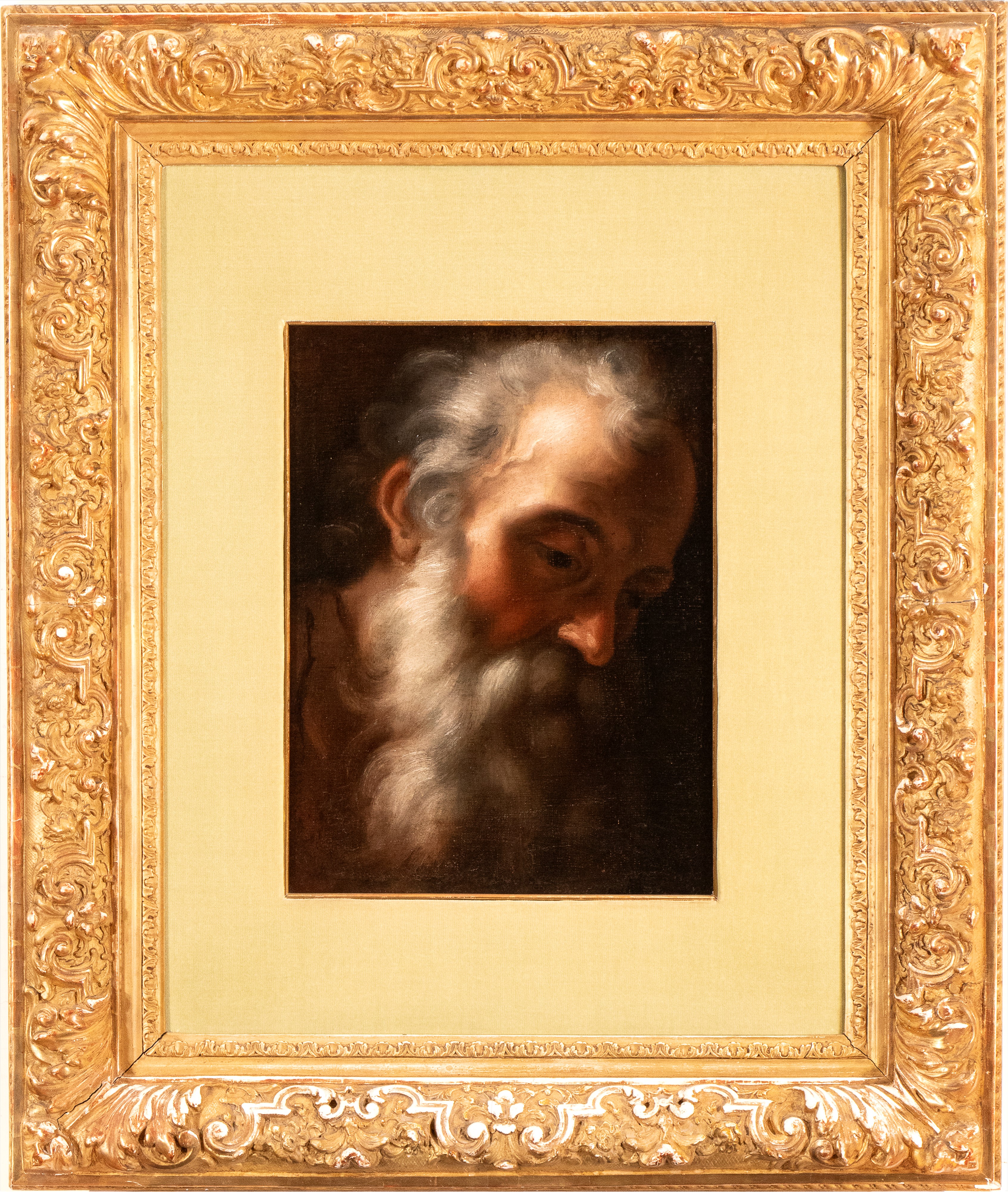 Artista Attivo a Roma, XVIII Secolo - Testa di uomo barbuto, olio su tela