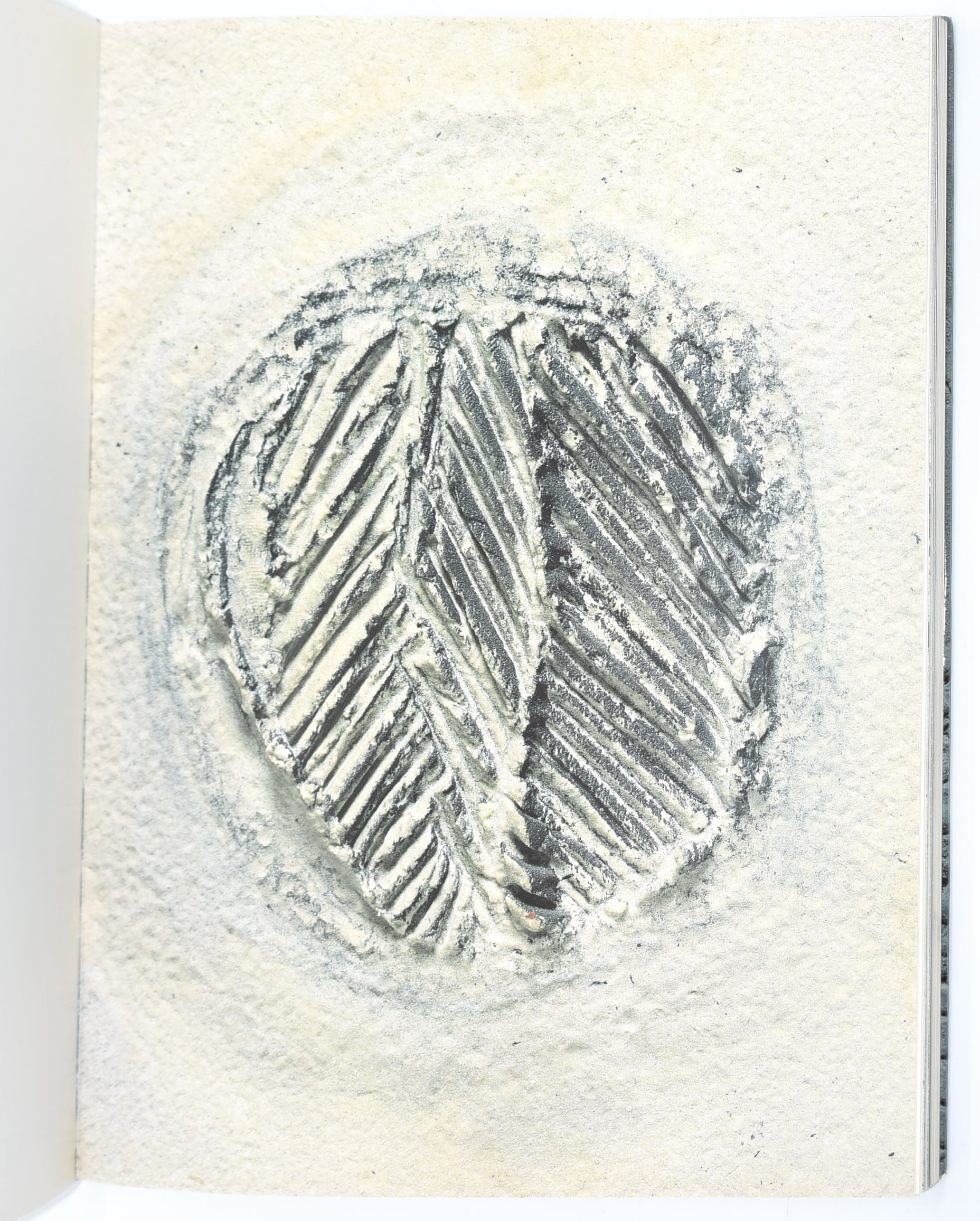 Celiberti Giorgio, AA.VV.: Giorgio Celiberti (1989)