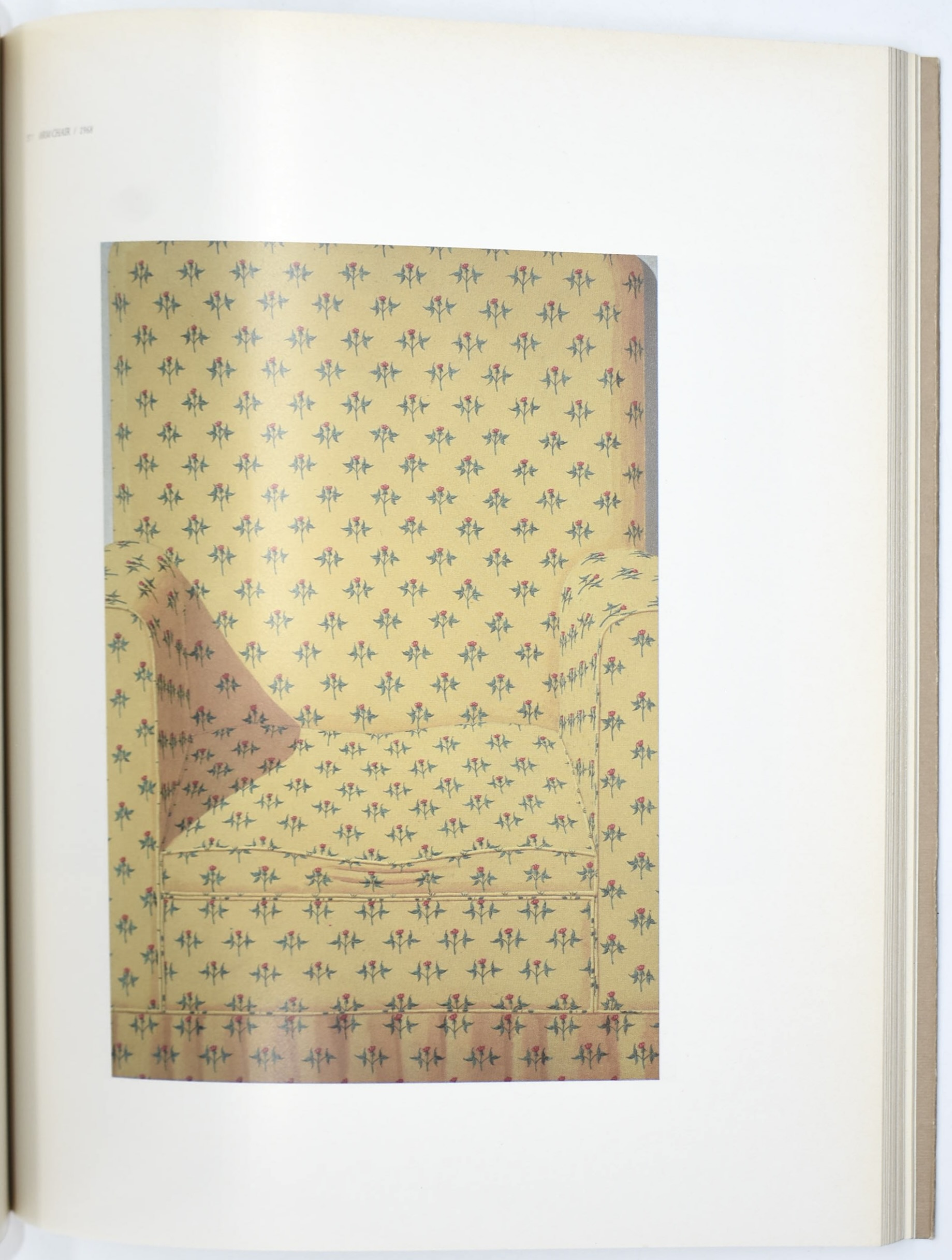 Bruno Mantura, Domenico Gnoli (1987), catalogo d’arte illustrato