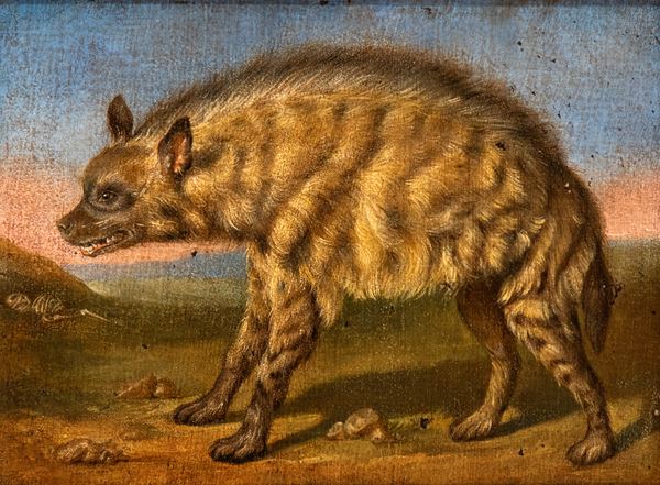 The Hyena in the Menagerie of Frederiksberg Castle