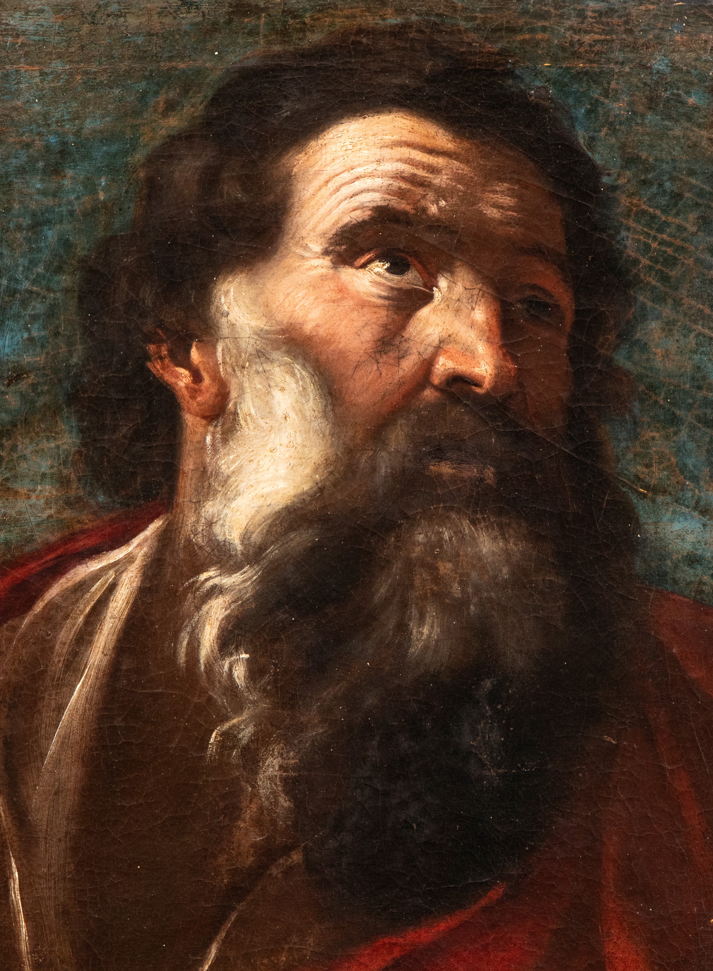 Testa di uomo barbuto