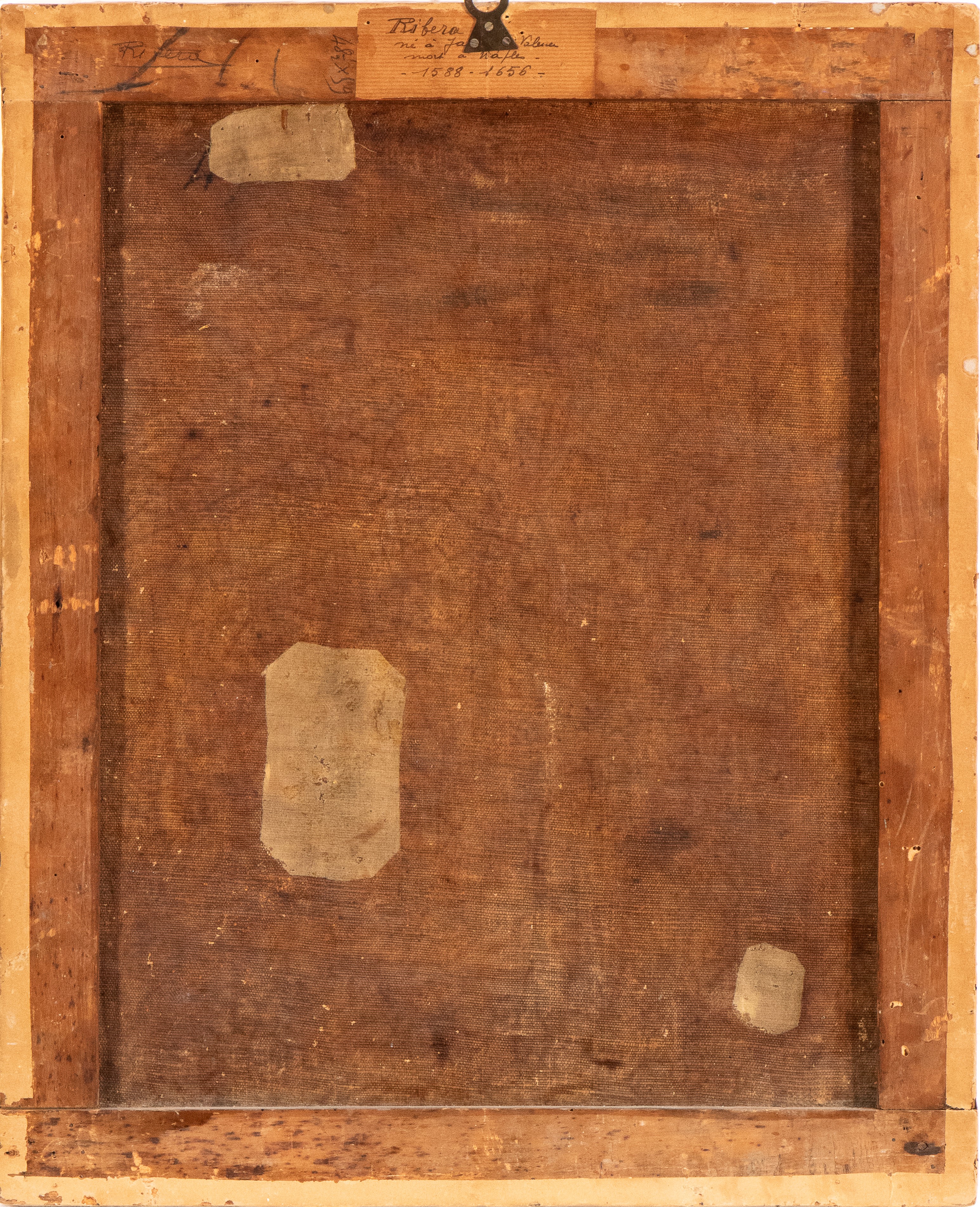 Testa di uomo barbuto