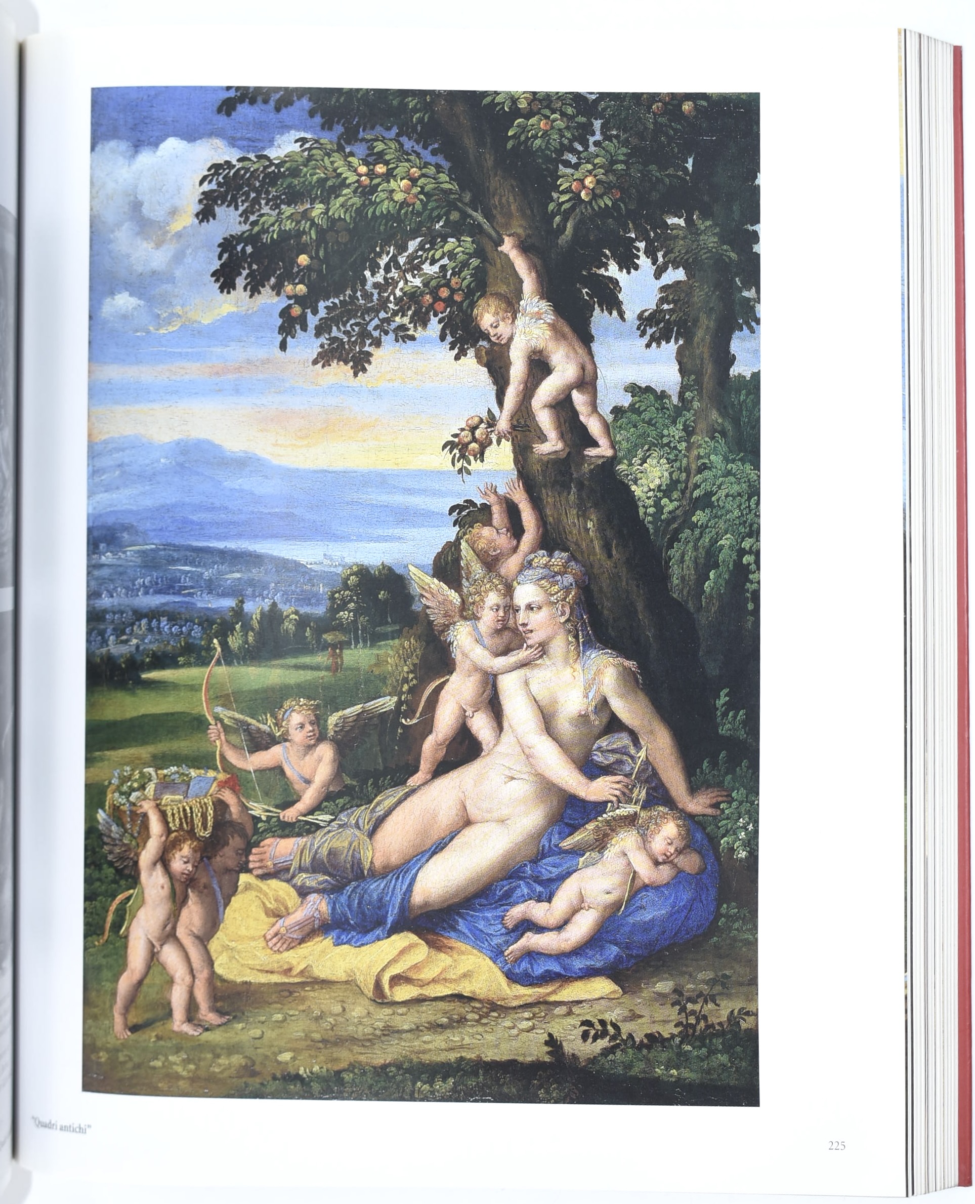Strinati, Claudio; Caravaggio e i Giustiniani, Cataloghi d’arte illustrati (2 volumi)