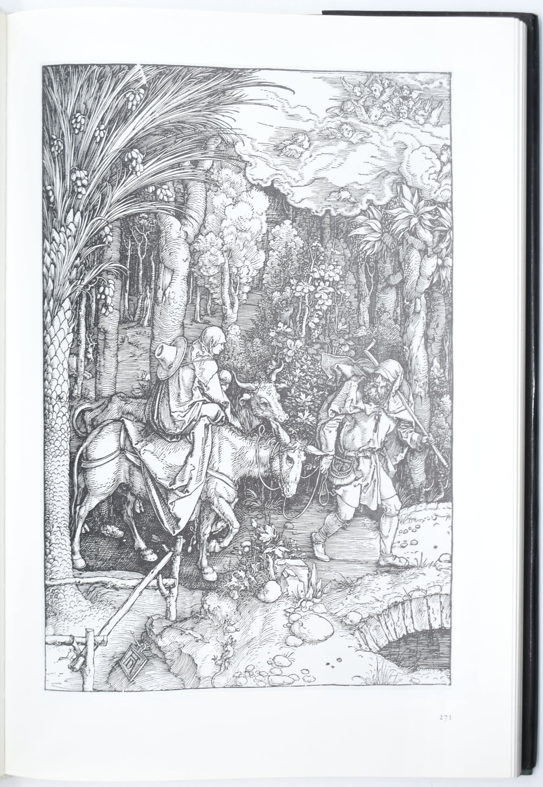 Peter Strieder, Dürer. Leonardo e Dürer: visioni del Rinascimento (2 volumi)