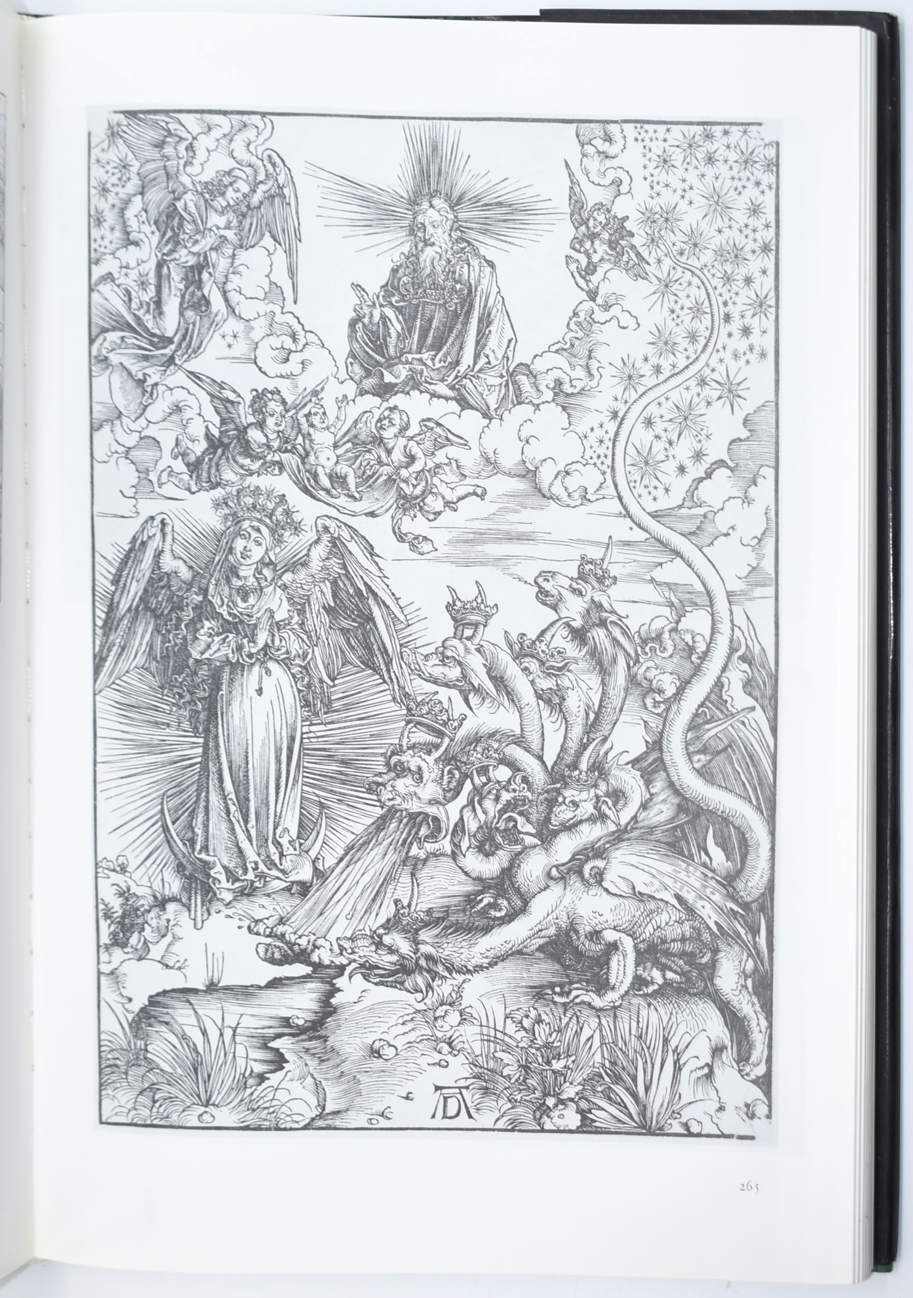 Peter Strieder, Dürer. Leonardo e Dürer: visioni del Rinascimento (2 volumi)