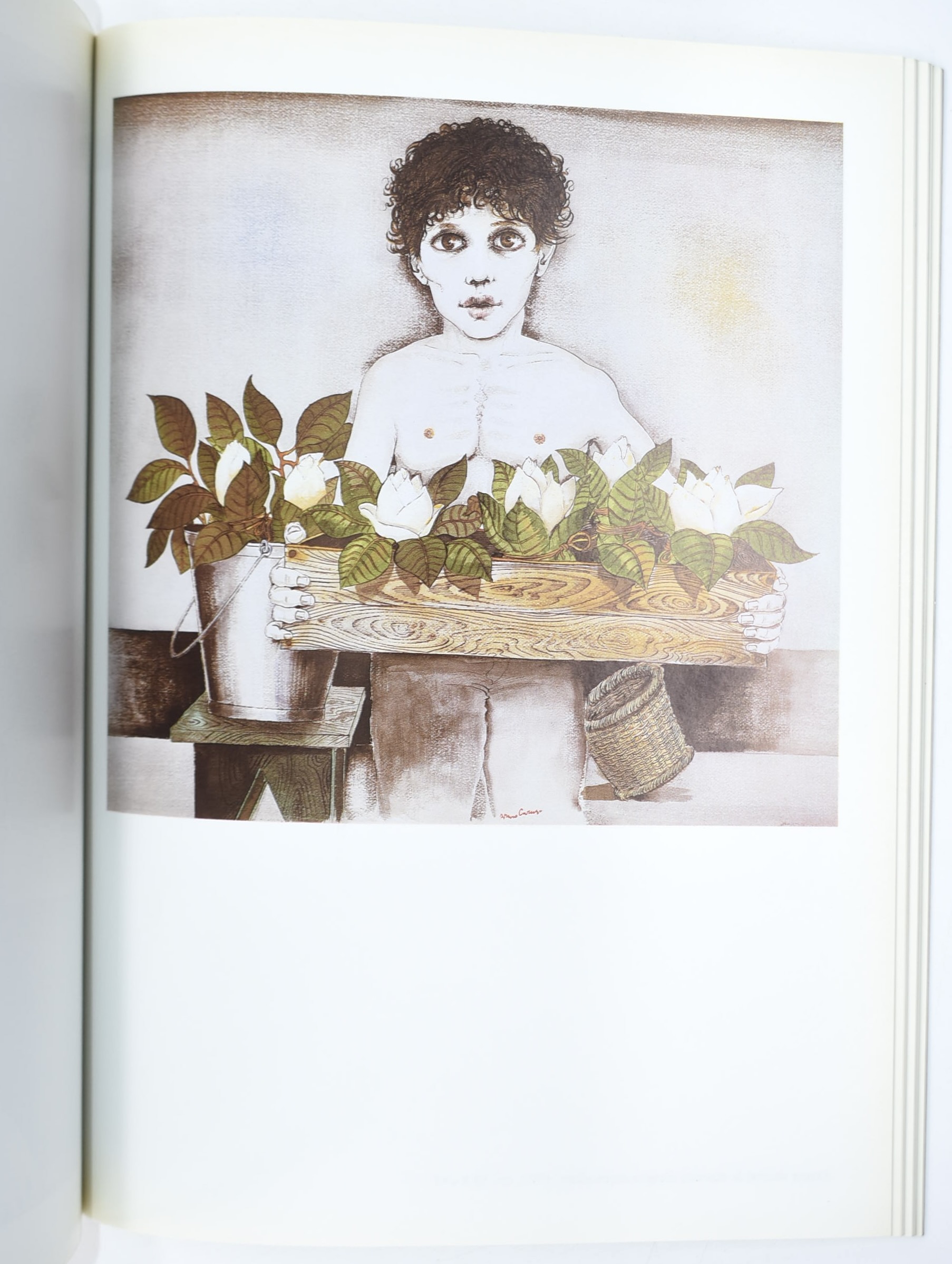 Bruno Caruso, Tre volumi di cataloghi di disegni (1986–1995, 1963)