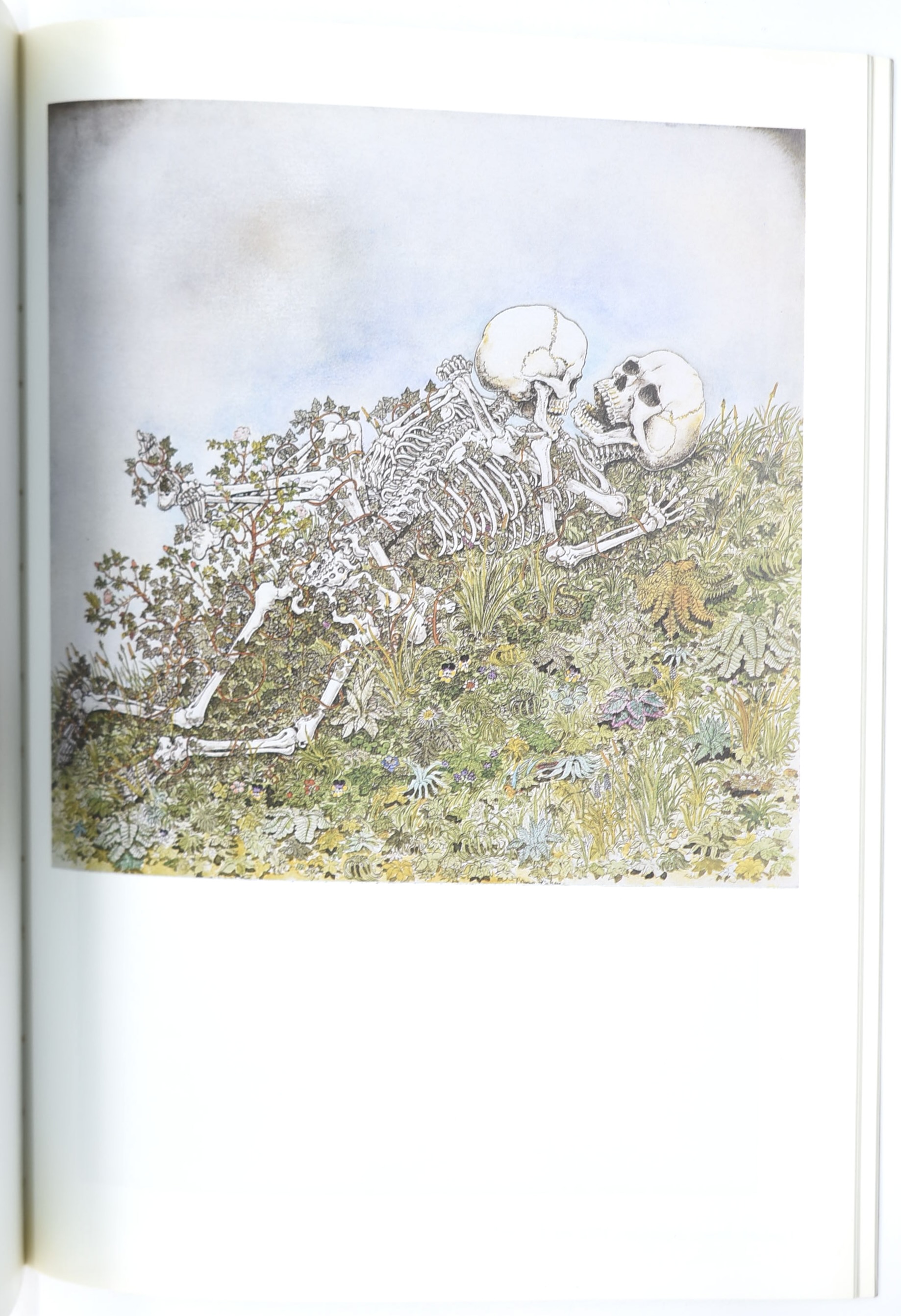 Bruno Caruso, Tre volumi di cataloghi di disegni (1986–1995, 1963)