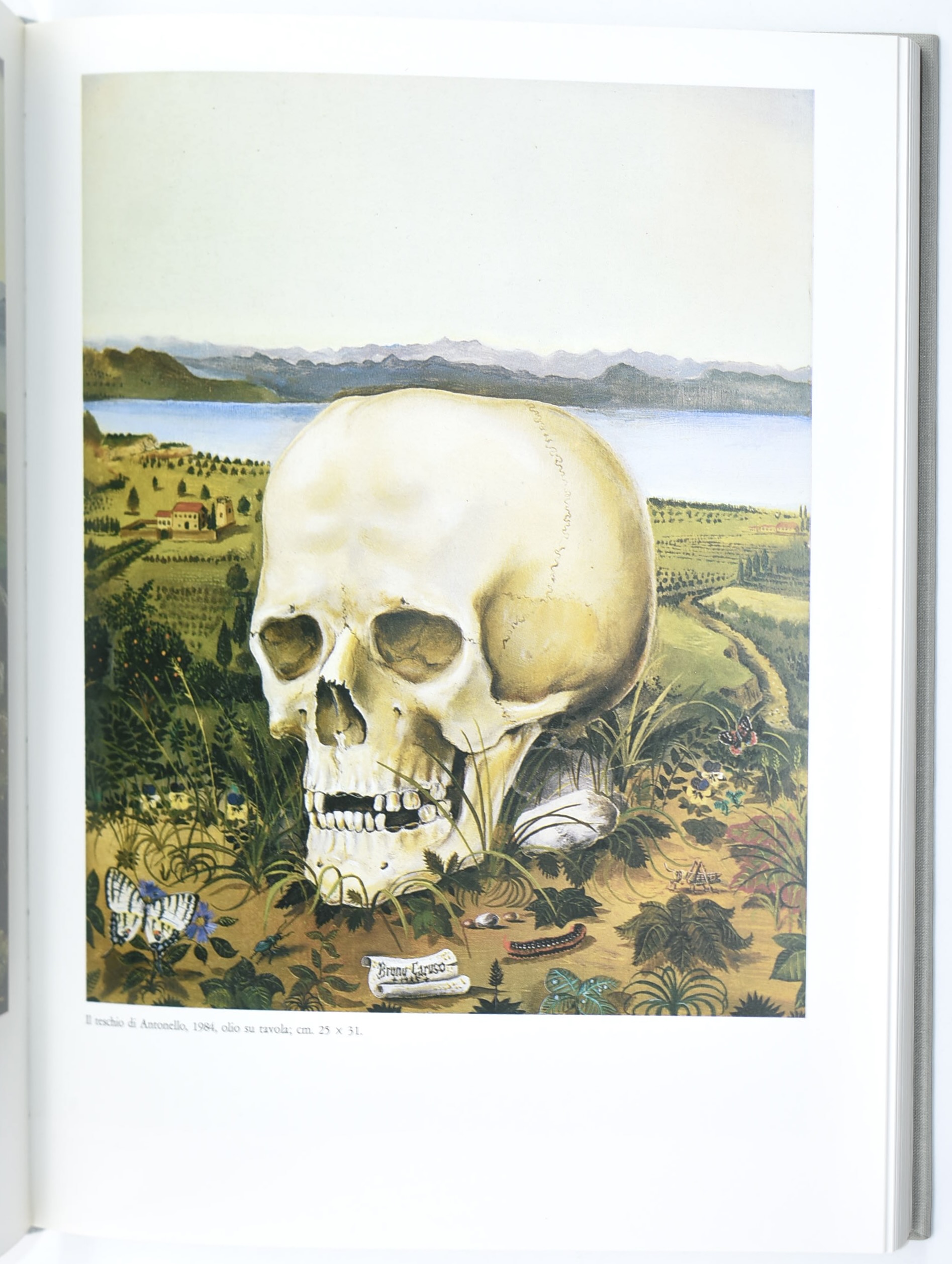 Bruno Caruso, Tre volumi di cataloghi di disegni (1986–1995, 1963)