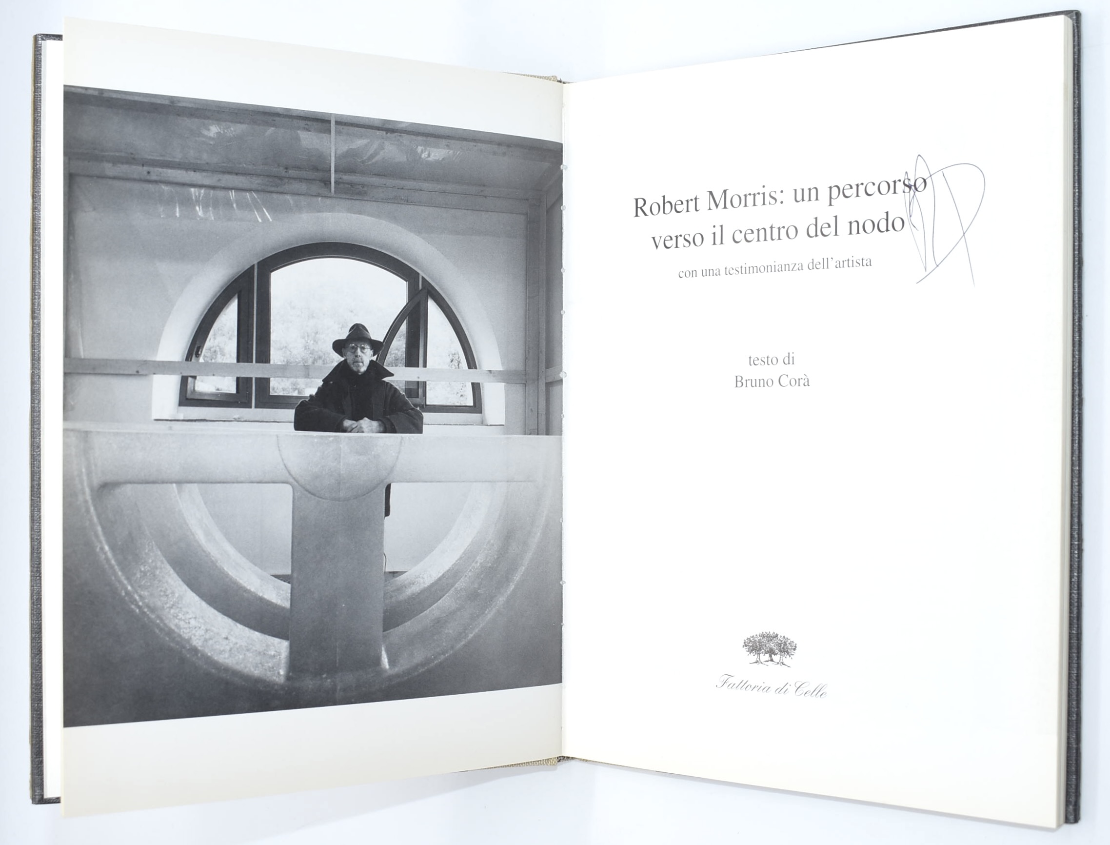 Robert Morris, Un percorso verso il centro del nodo, 1995