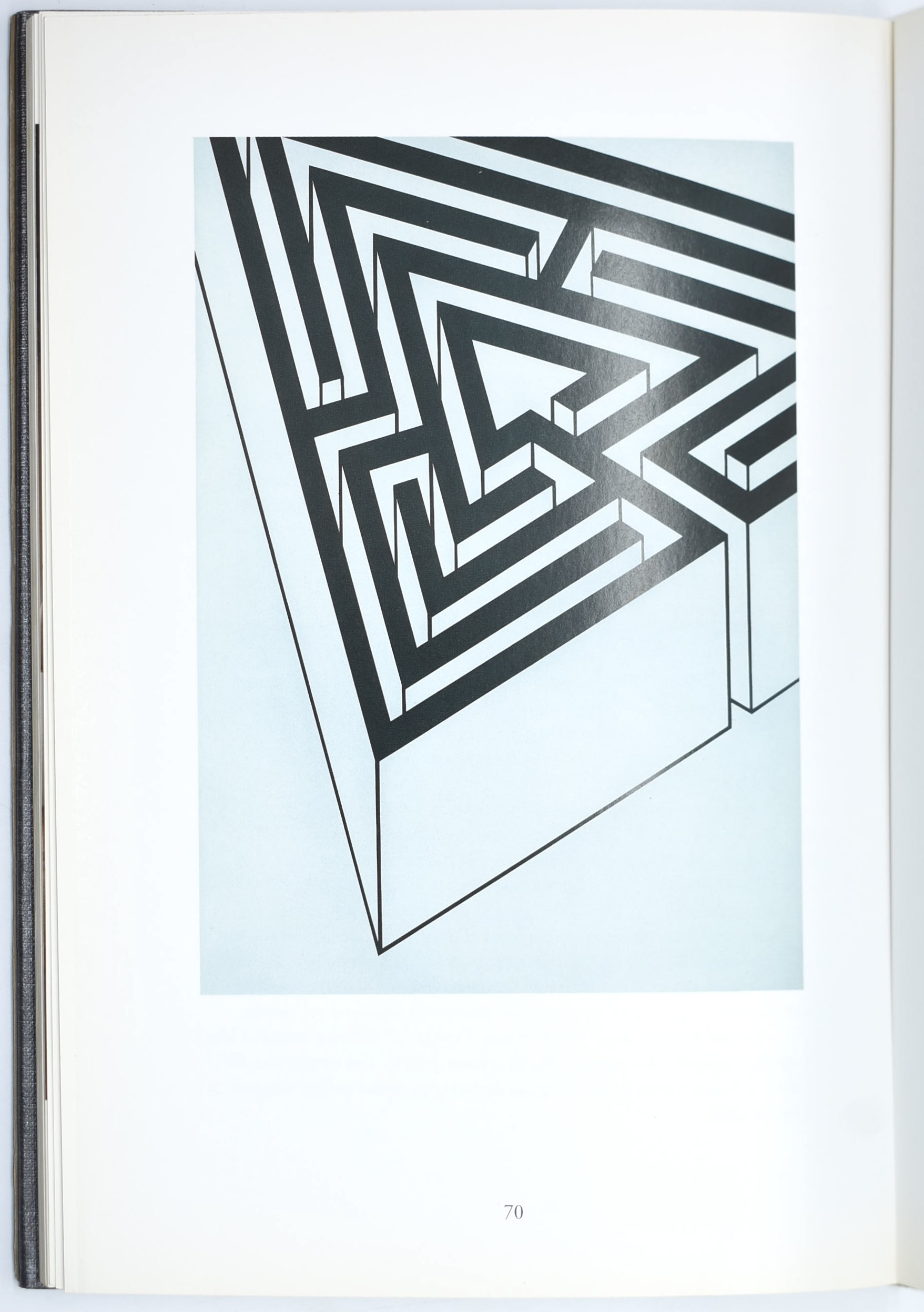 Robert Morris, Un percorso verso il centro del nodo, 1995