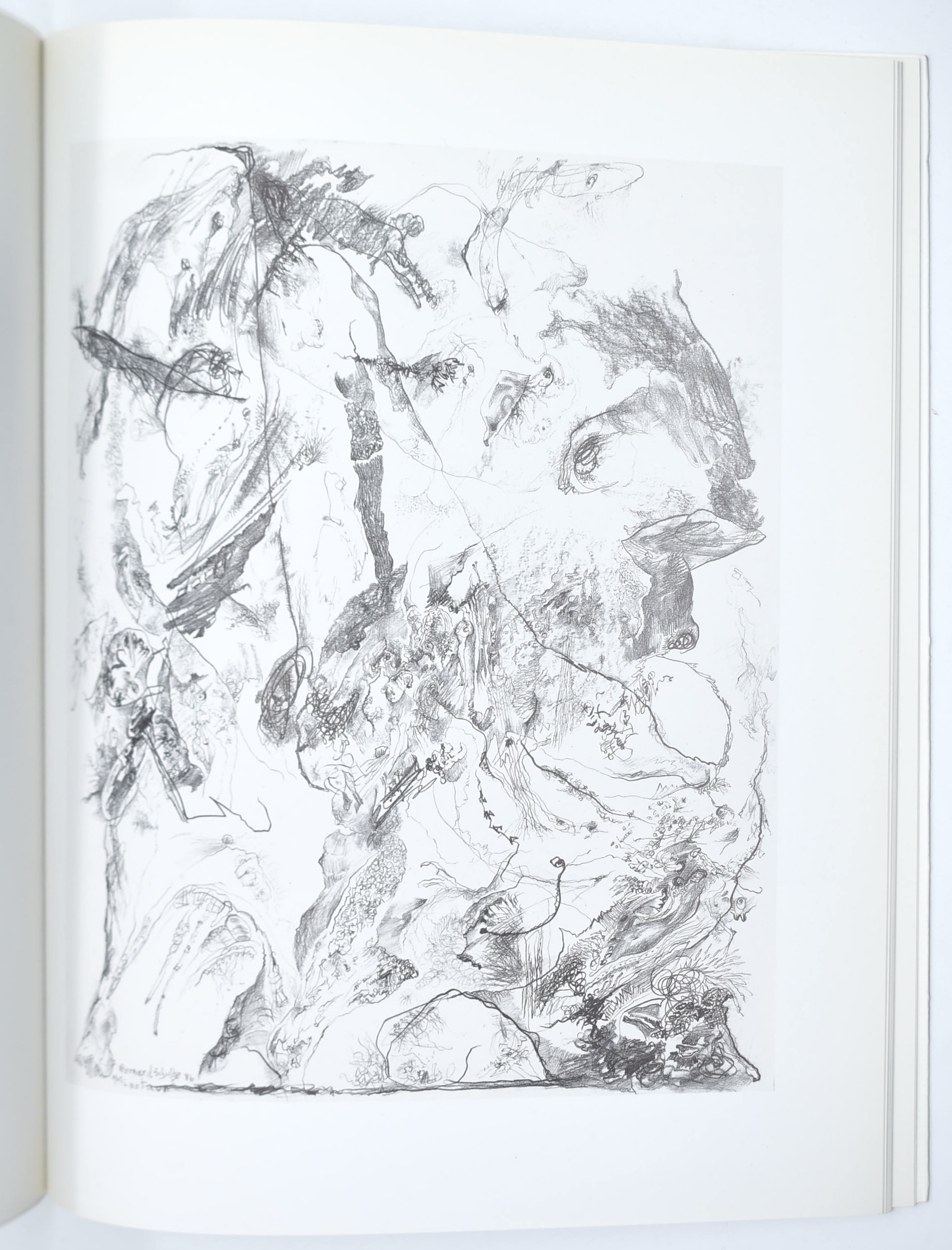Bernard Schultze, Catalogo d’arte; Ralph Jentsch, George Grosz; Magdalena M. Moeller, Gli espress...