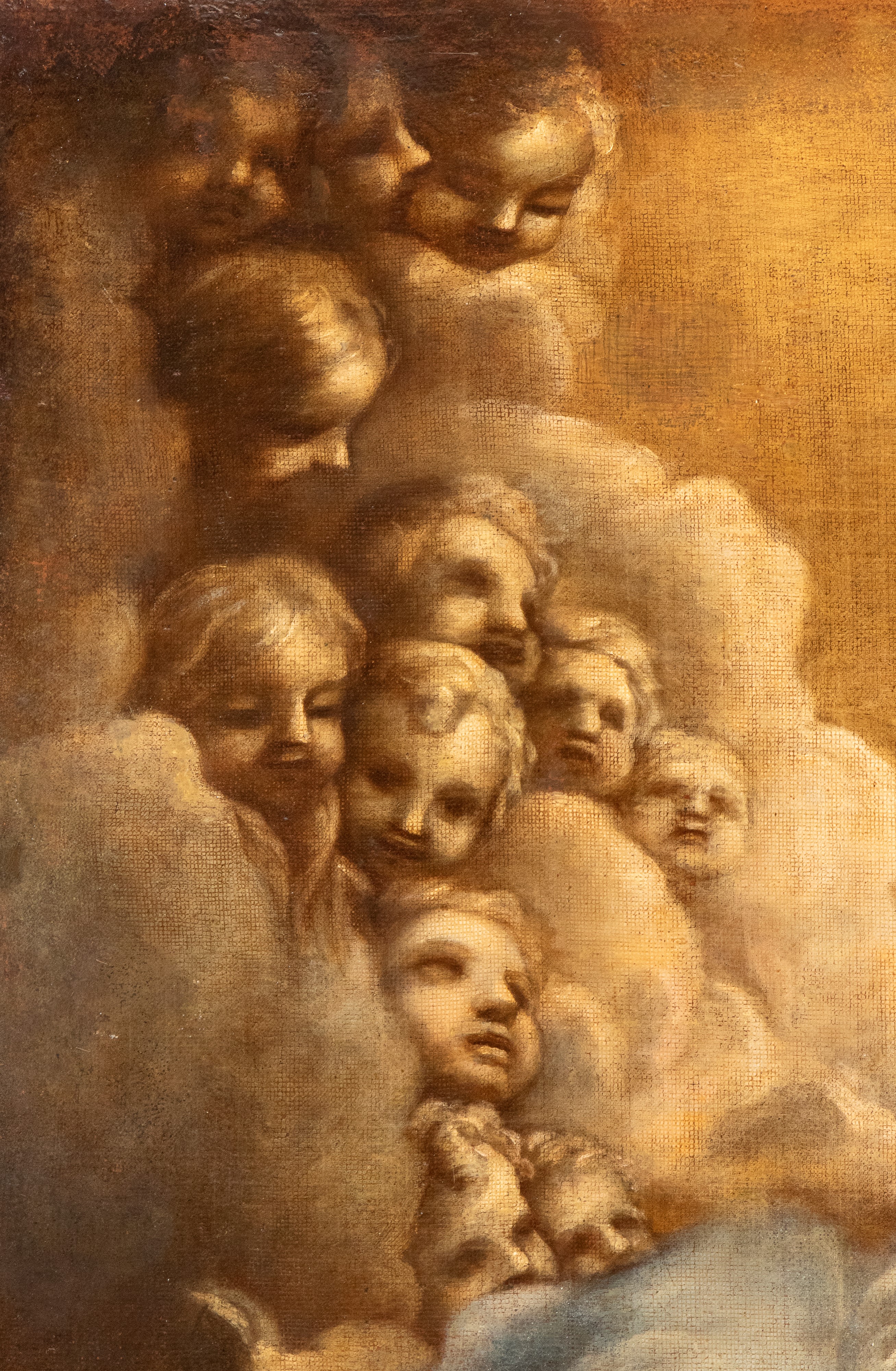 Immacolata Concezione