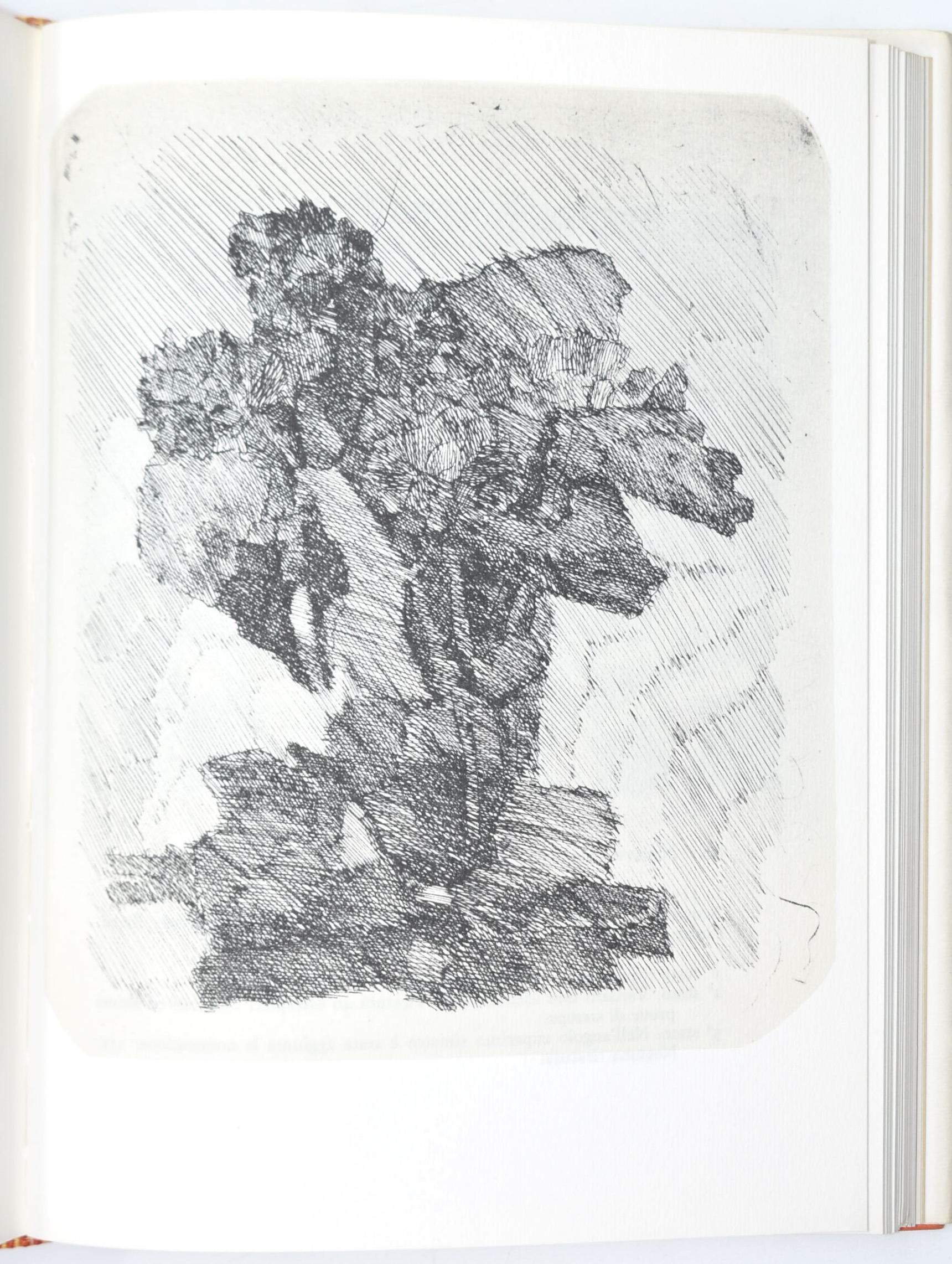 Carlo Levi, Opere grafiche; Lamberto Vitali, L’opera grafica di Giorgio Morandi; Mino Maccari 189...