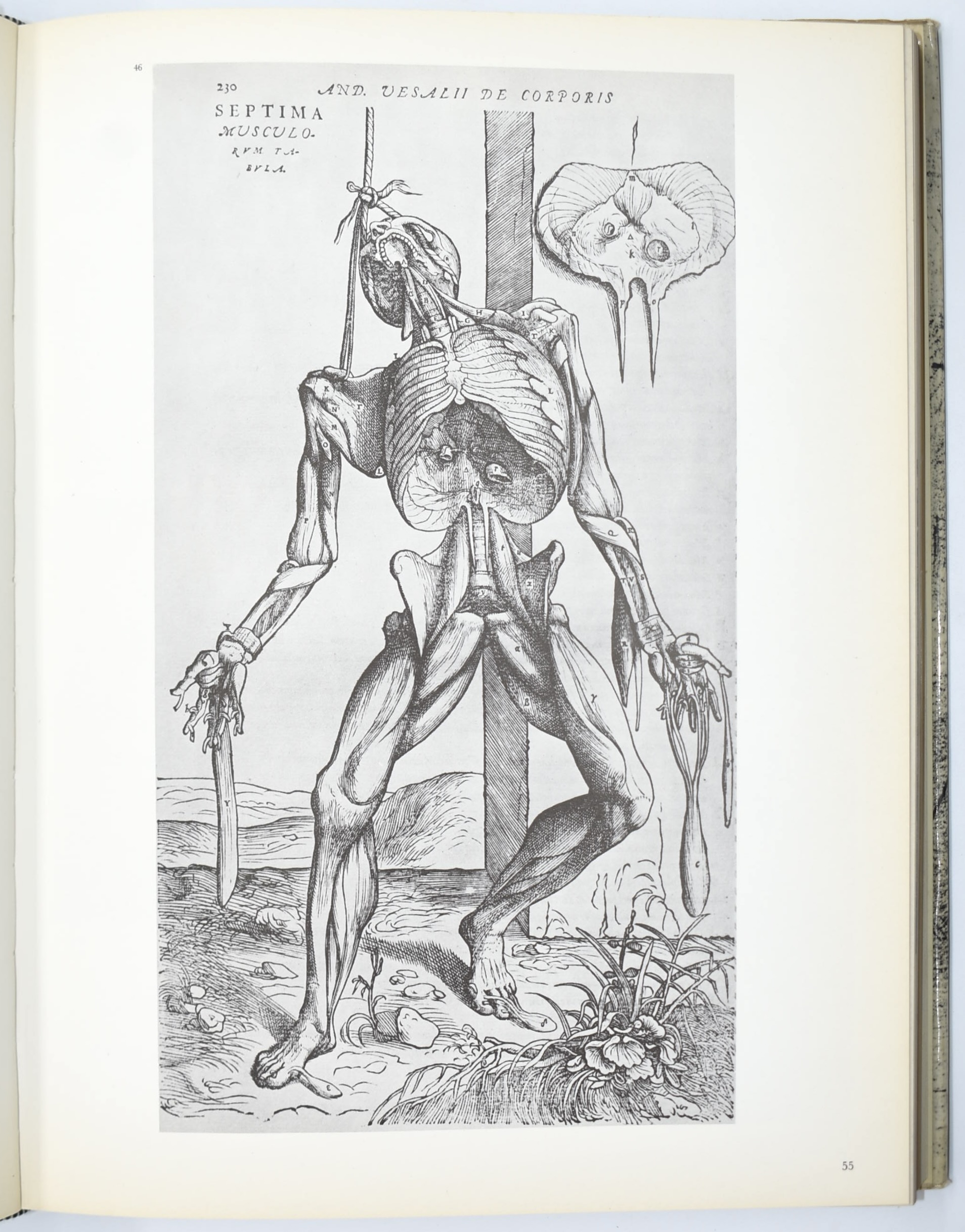 Victor Hugo pittore, Venezia (Ca’ Pesaro, catalogo di mostra) / Quattro secoli di Surrealismo (in...