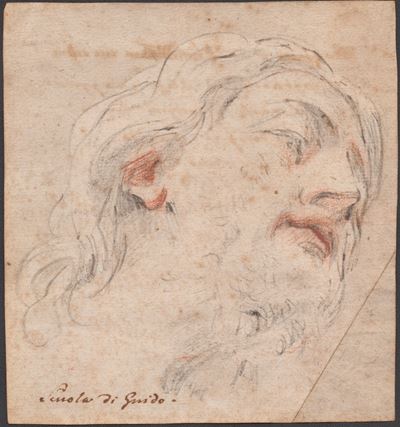 Studio per una testa virile