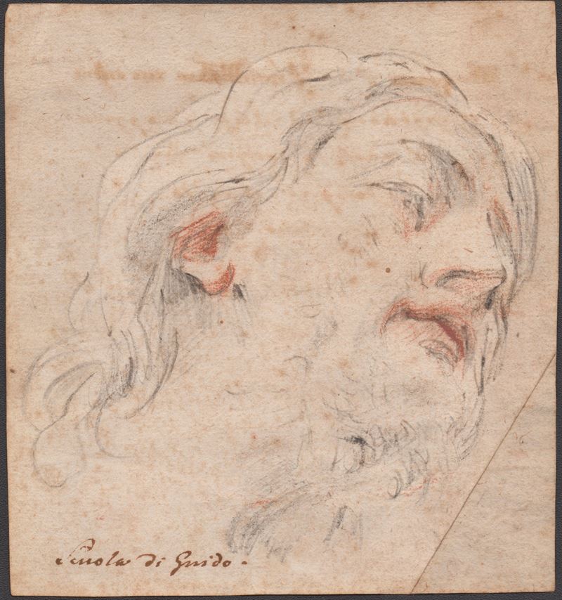 Guido Reni - Studio per una testa virile