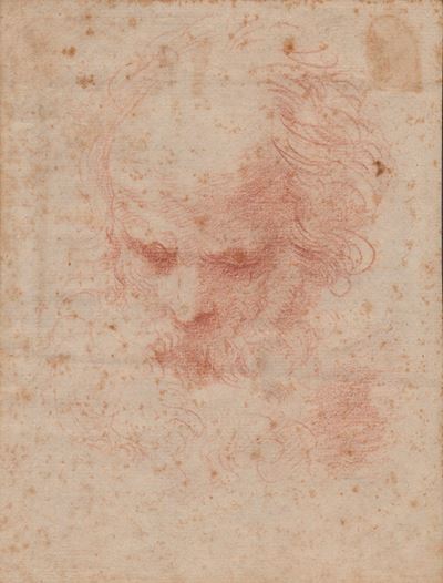 Artista bolognese del XVII secolo, Studio per testa virile