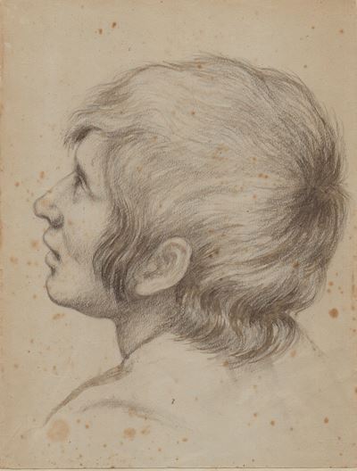 Testa di un ragazzo (matita su carta)