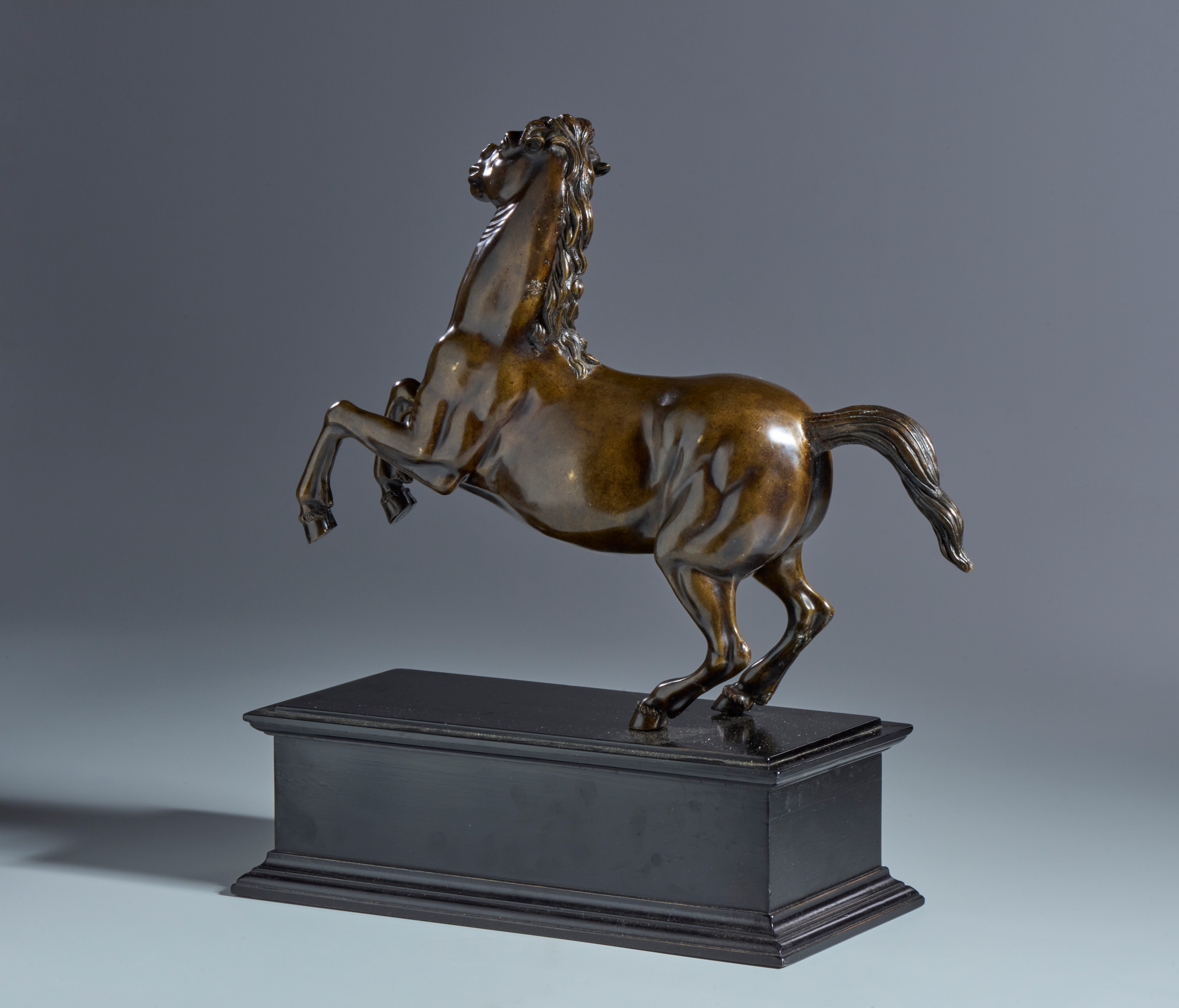 Cavallo rampante. Francesco Fanelli (Firenze, 1577- Parigi? 1663) Ambito di. XVII-XVIII secolo. B...