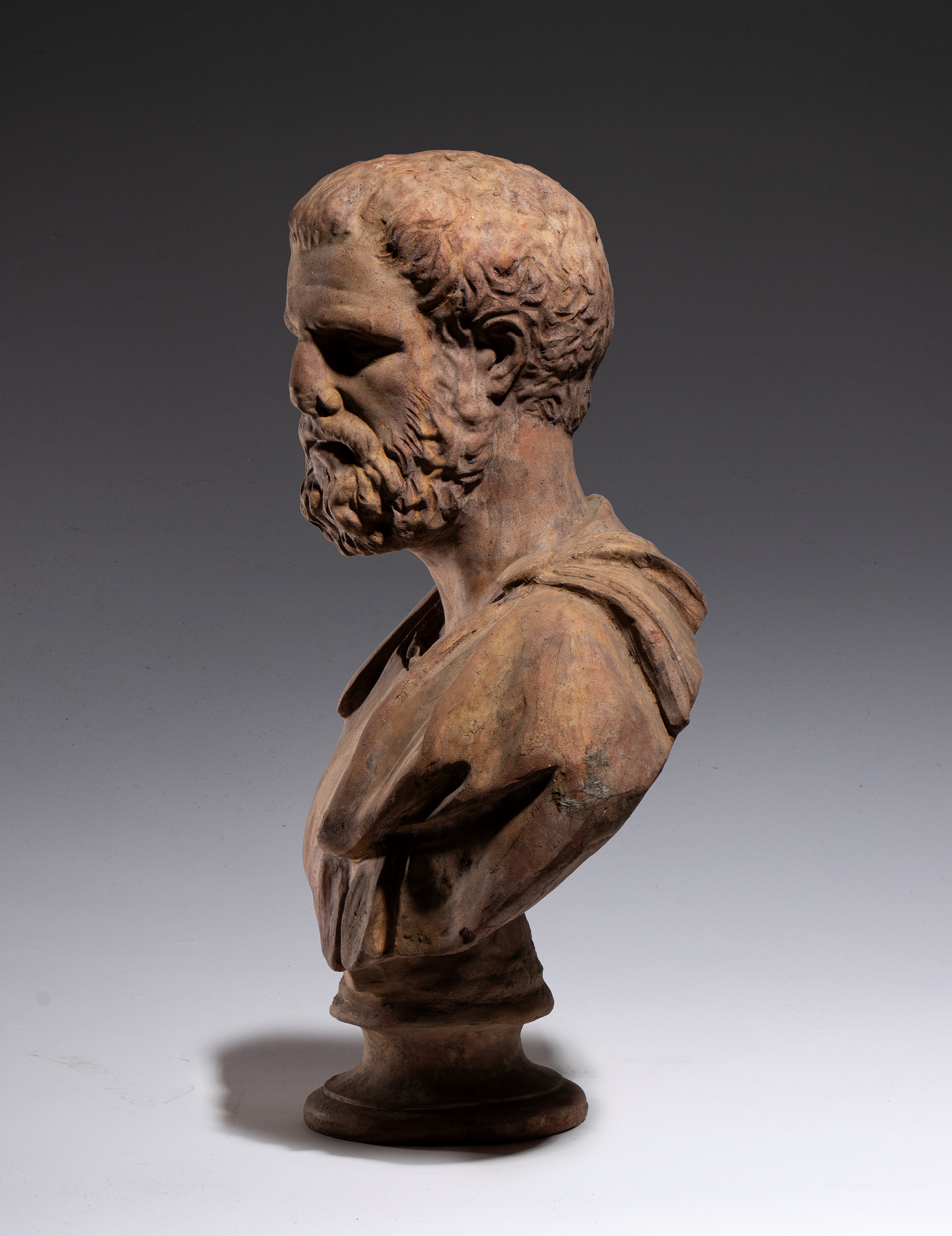Busto maschile, terracotta, XVIII secolo