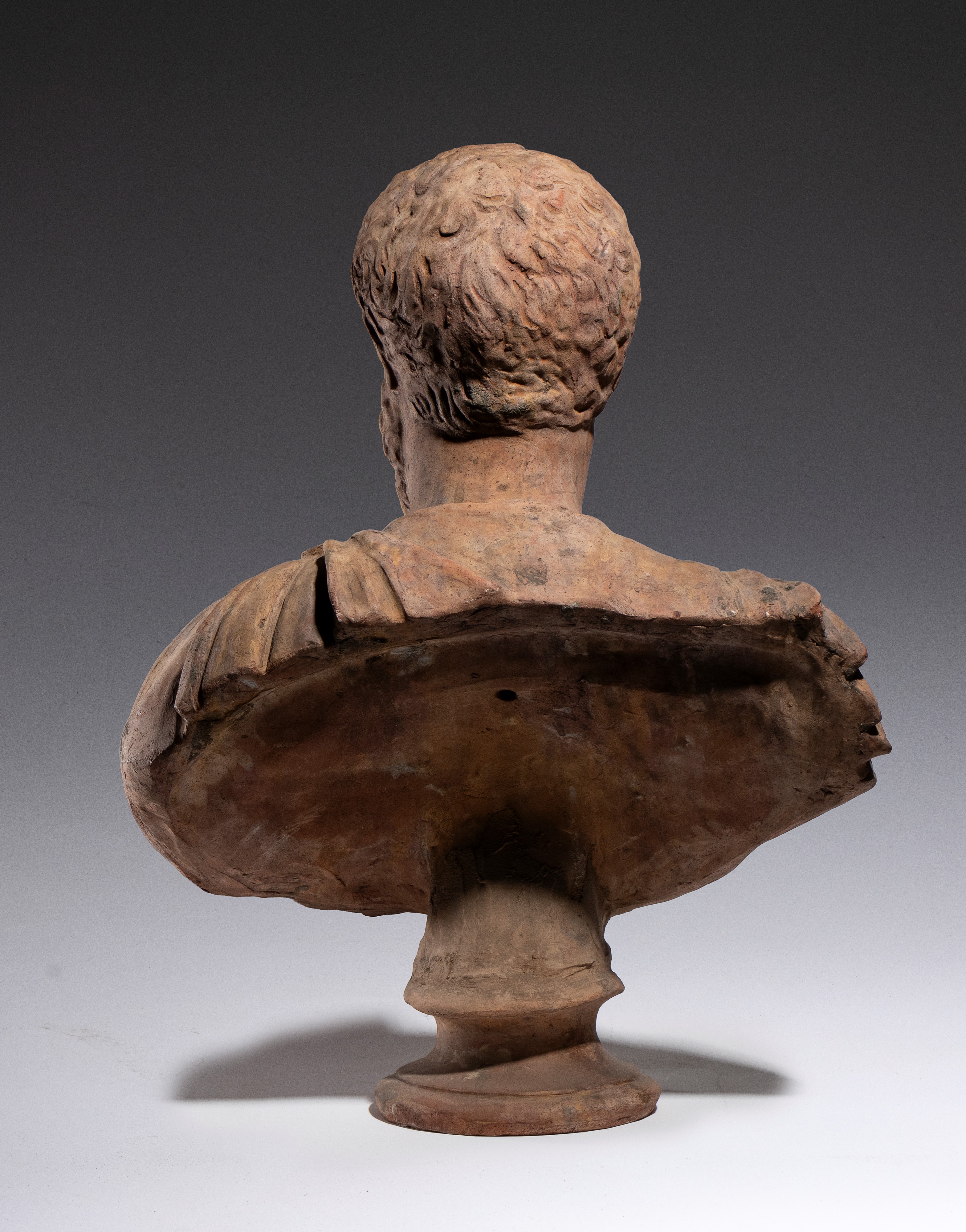 Busto maschile, terracotta, XVIII secolo