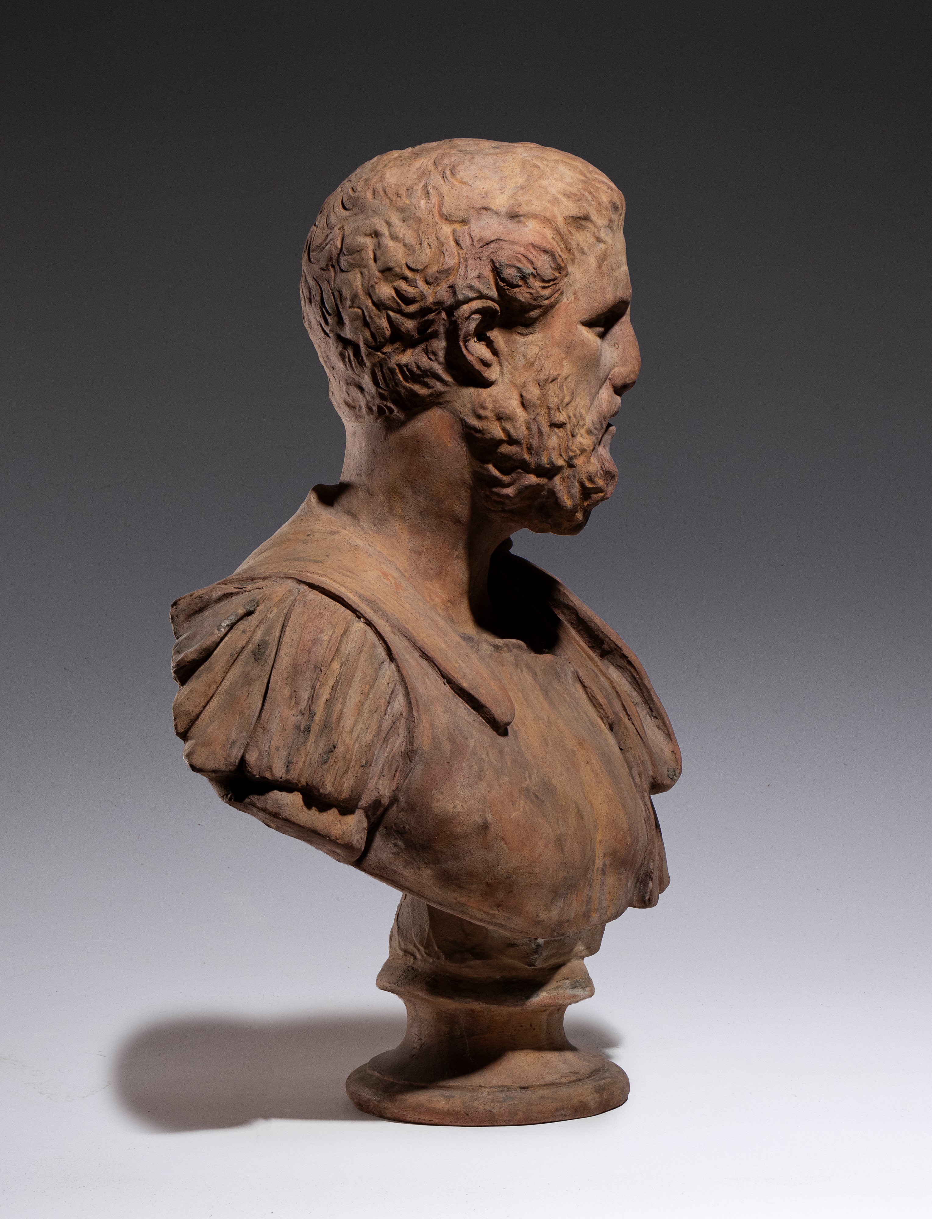 Busto maschile, terracotta, XVIII secolo