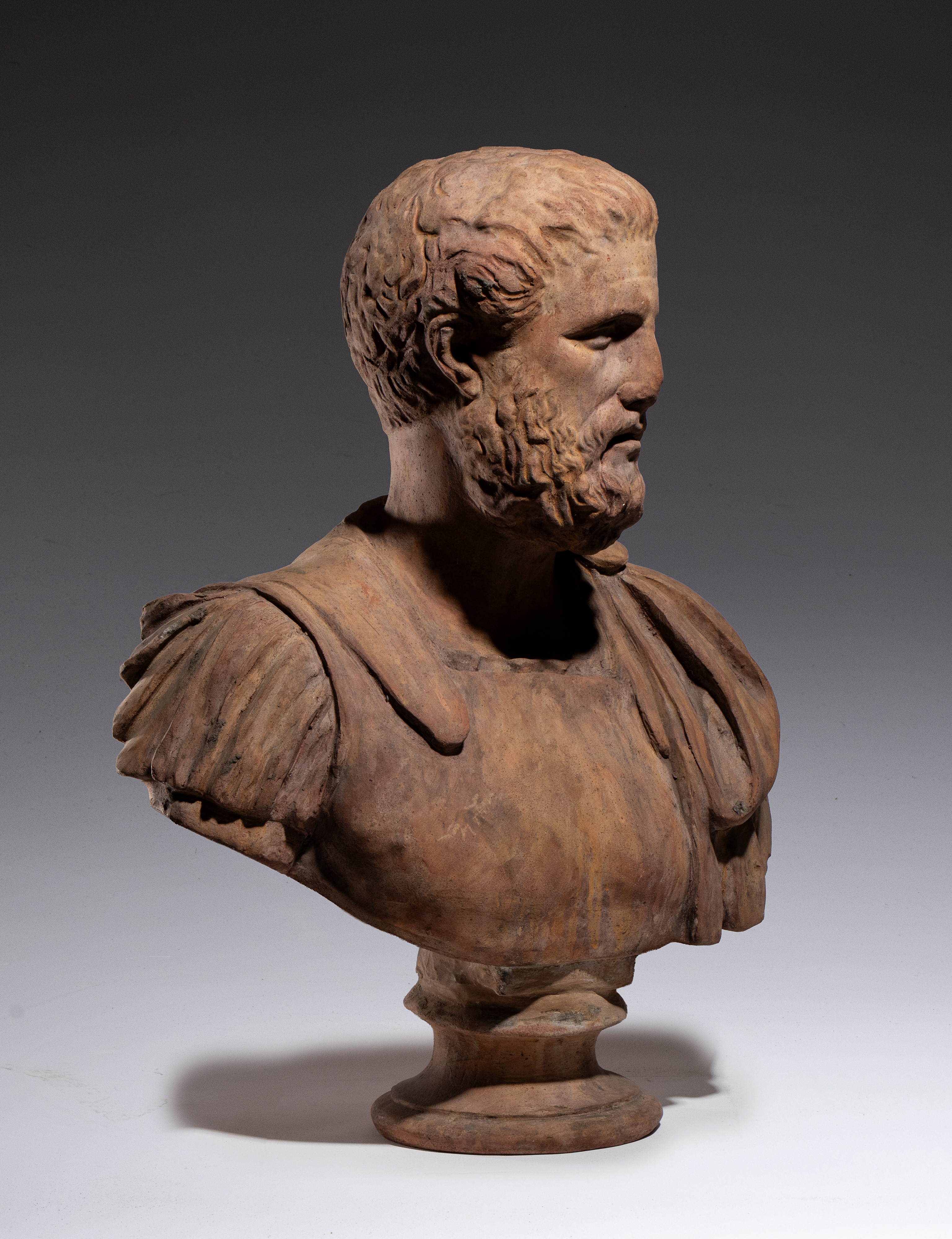 Busto maschile, terracotta, XVIII secolo