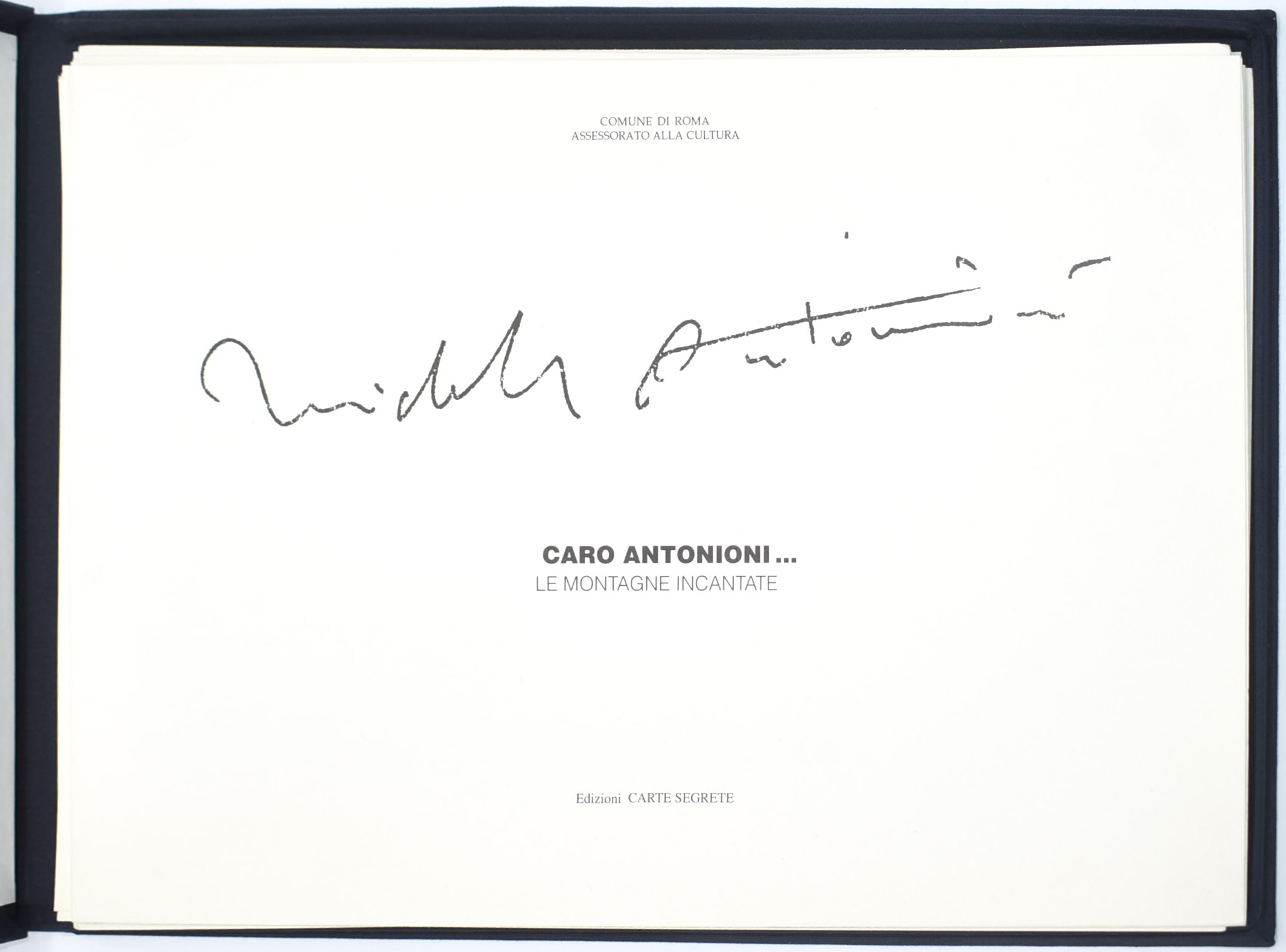 Antonioni, Michelangelo, Le montagne incantate