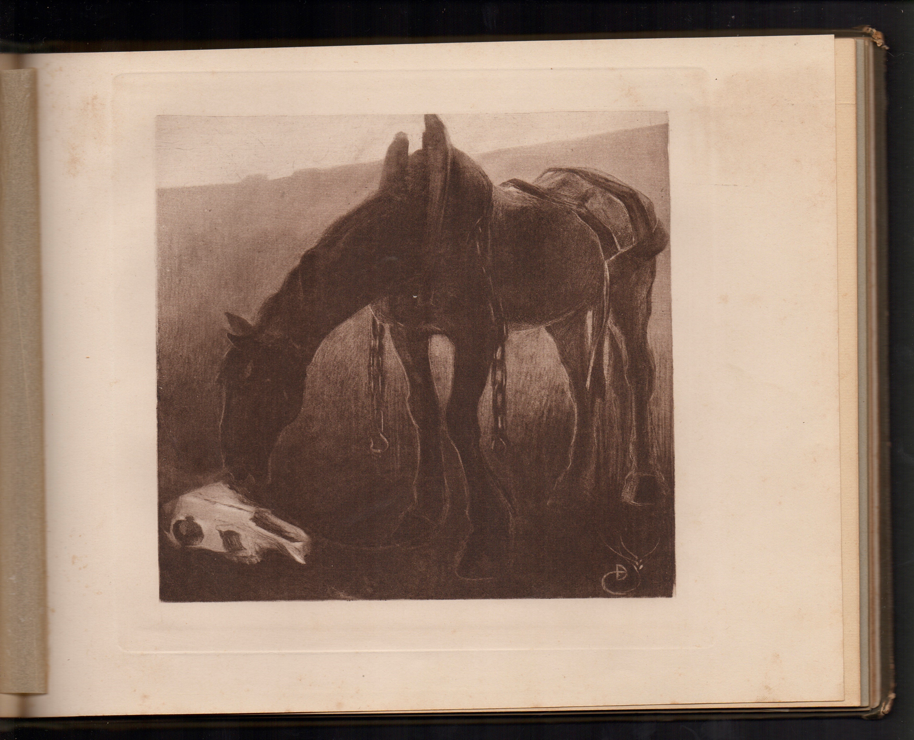 Aa.vv. - Novissima. Albo Annuale d’Arti e Lettere, Anno IX (1909)