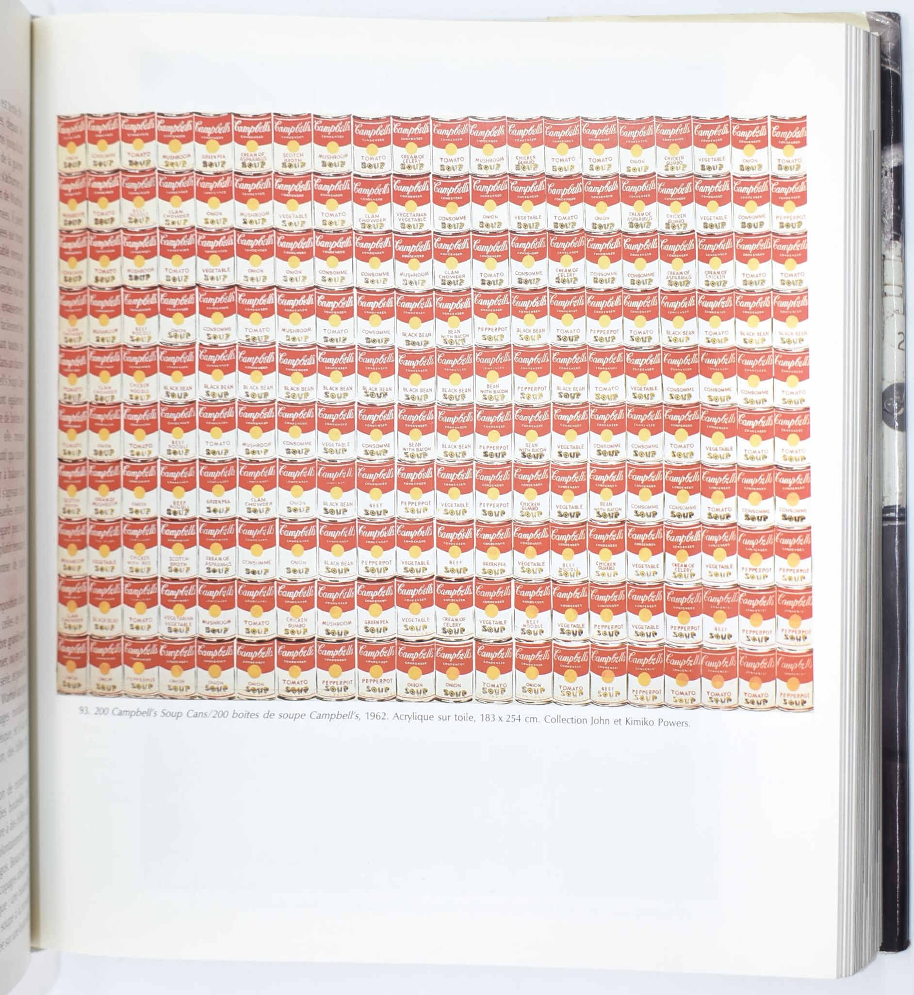 David Bourdon, Andy Warhol (catalogo d’arte), 1989