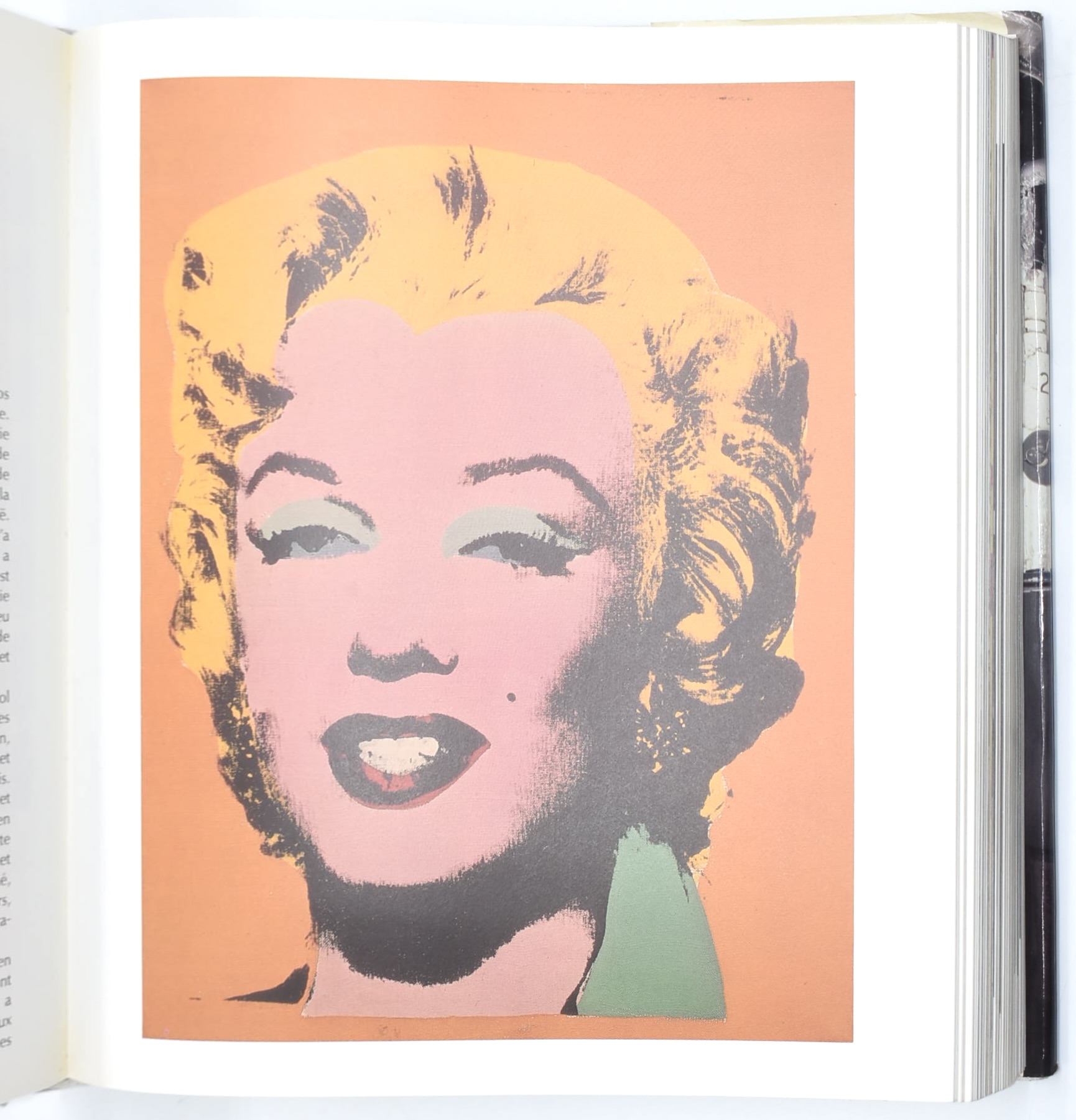 David Bourdon, Andy Warhol (catalogo d’arte), 1989