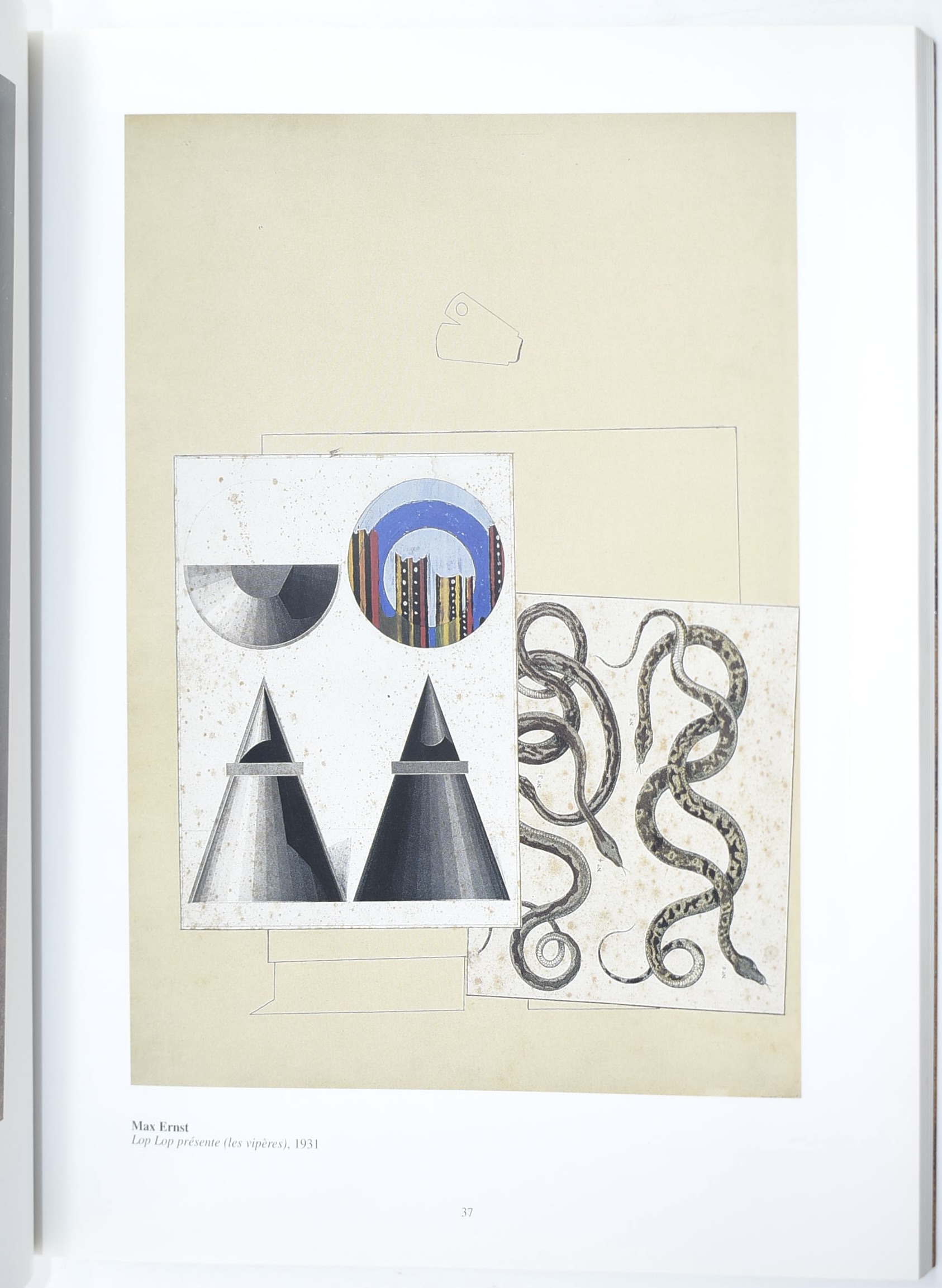 Max Ernst, Max Ernst e i suoi amici surrealisti; Max Ernst, Oltre la pittura; David Larkin, Max E...