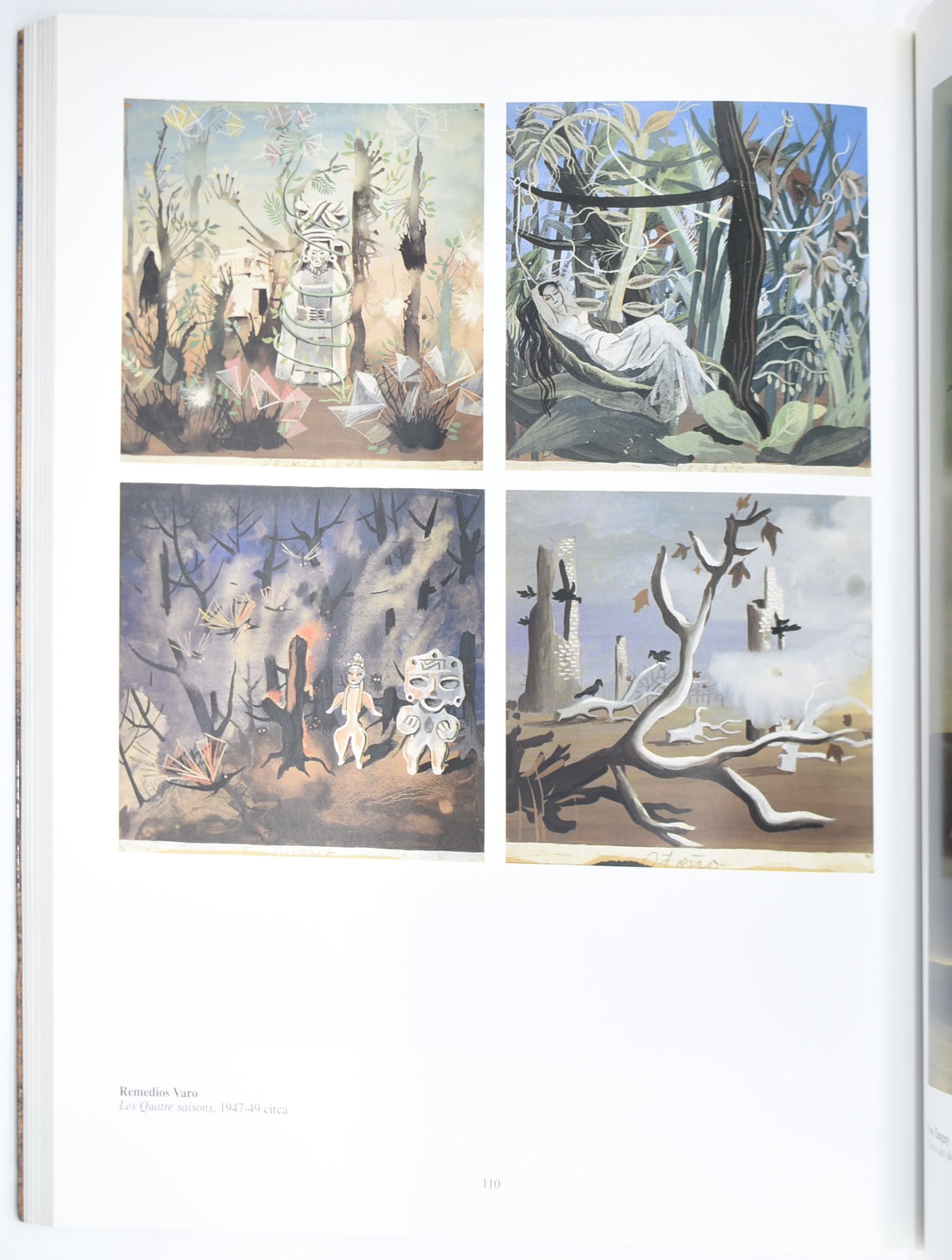 Max Ernst, Max Ernst e i suoi amici surrealisti; Max Ernst, Oltre la pittura; David Larkin, Max E...