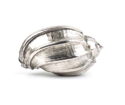 Conchiglia marina montata in argento (999/1000)