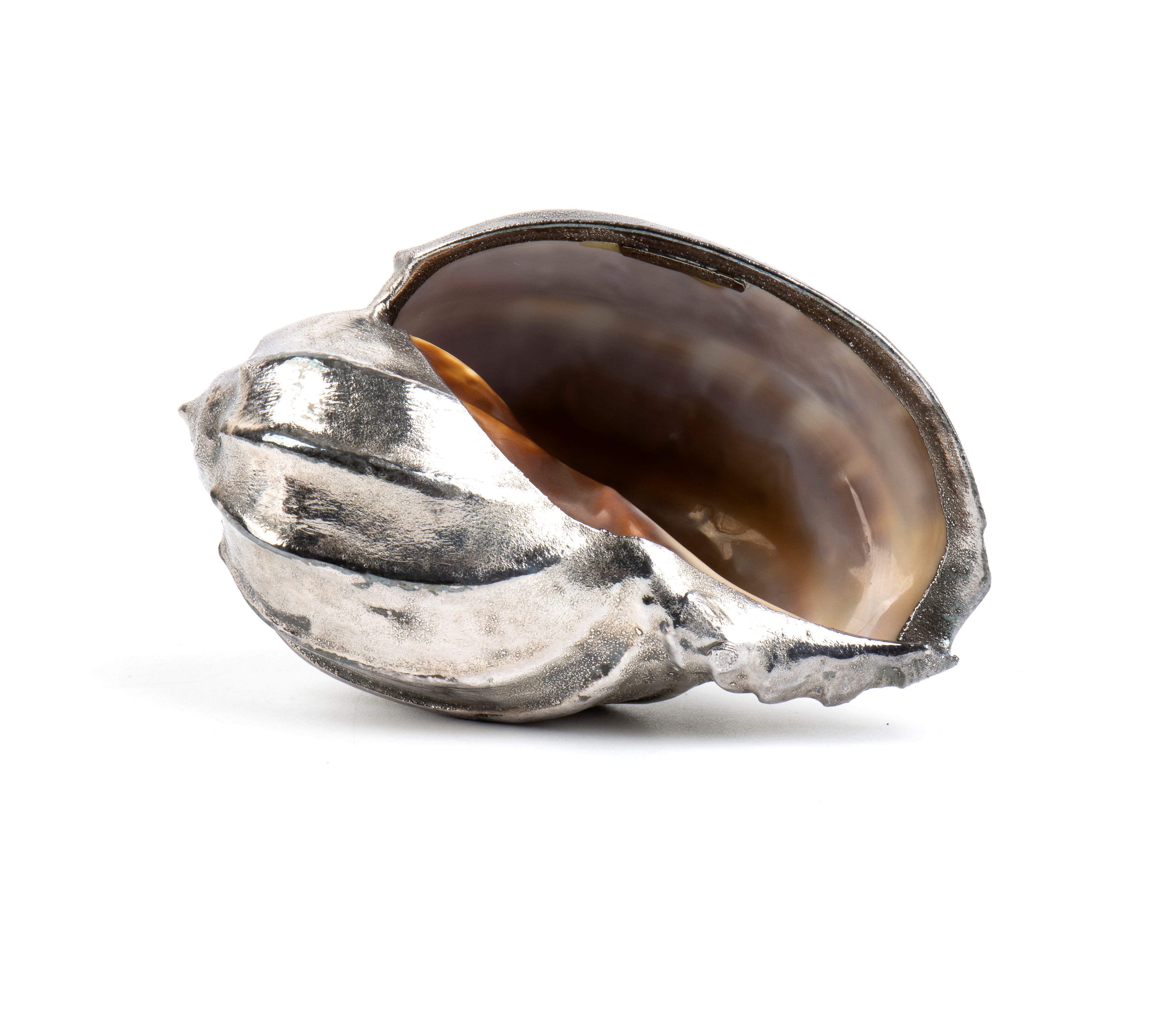 Federico Buccellati - Conchiglia marina montata in argento (999/1000)