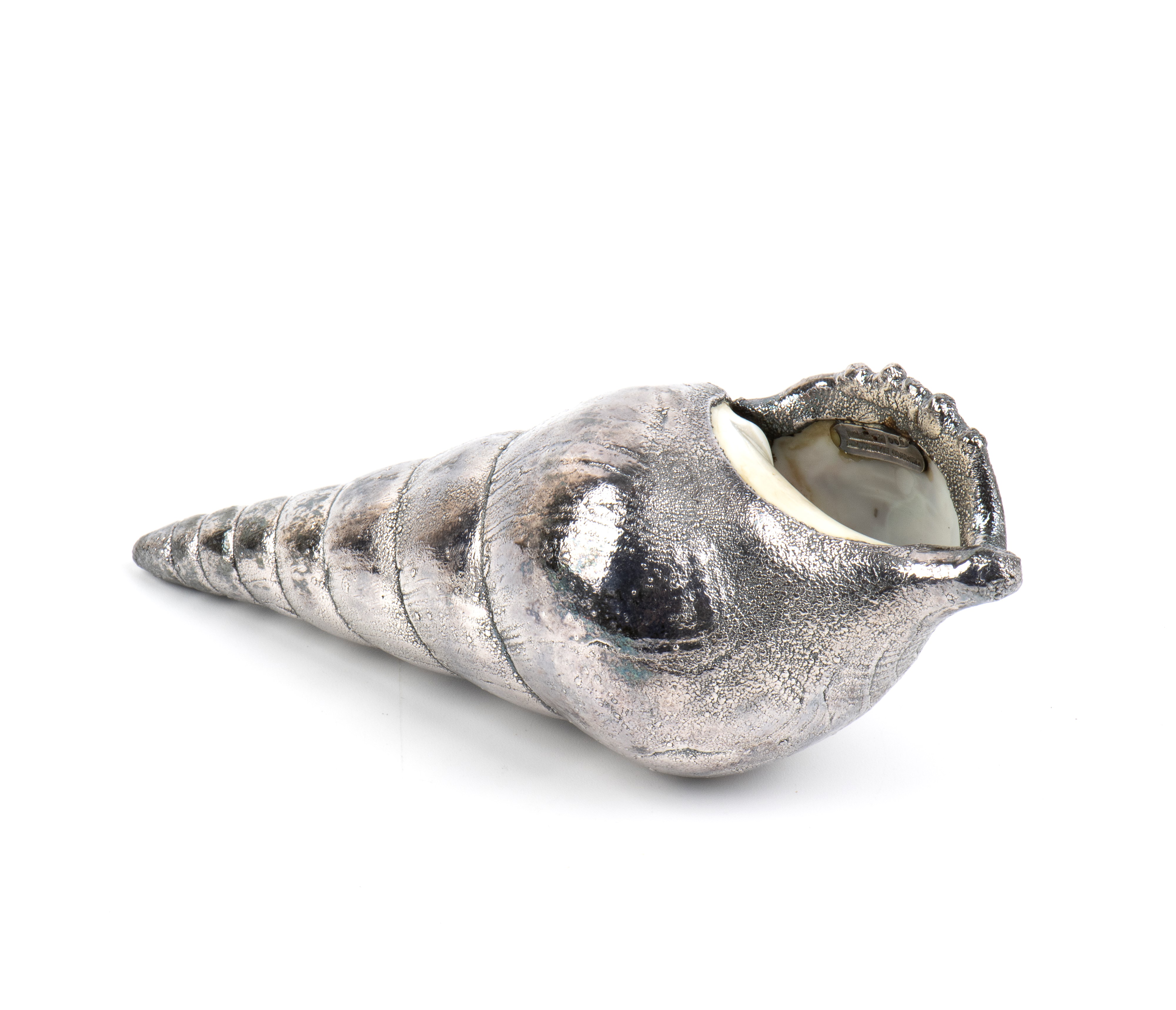 Federico Buccellati - Conchiglia marina montata in argento