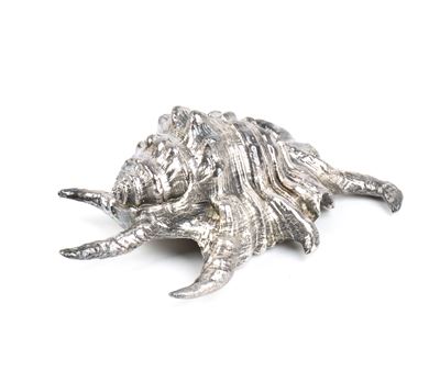 Conchiglia marina montata in argento