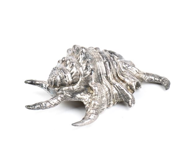 FEDERICO BUCCELLATI - Conchiglia marina montata in argento