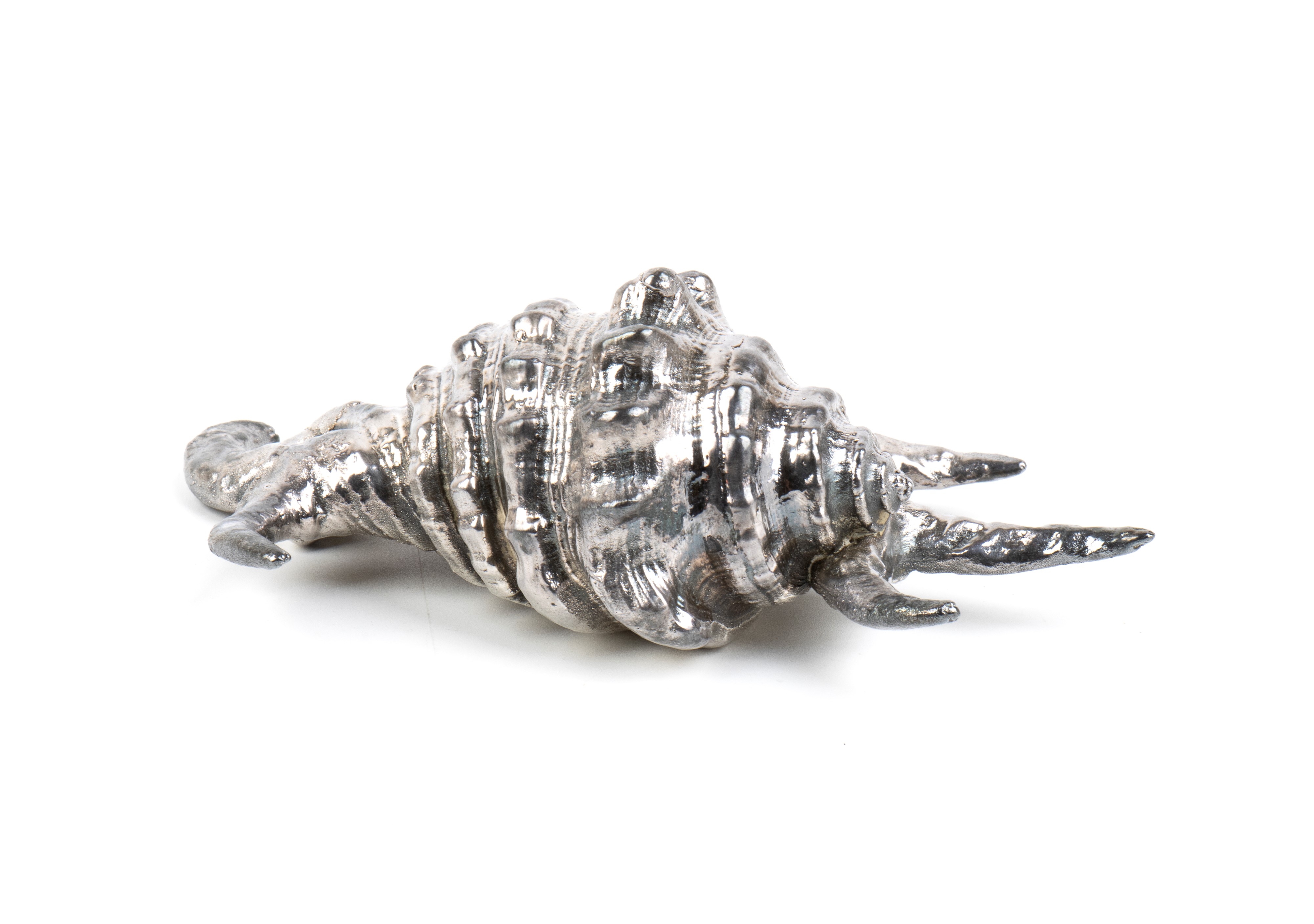 Federico Buccellati - Conchiglia marina montata in argento