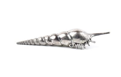 Conchiglia marina montata in argento